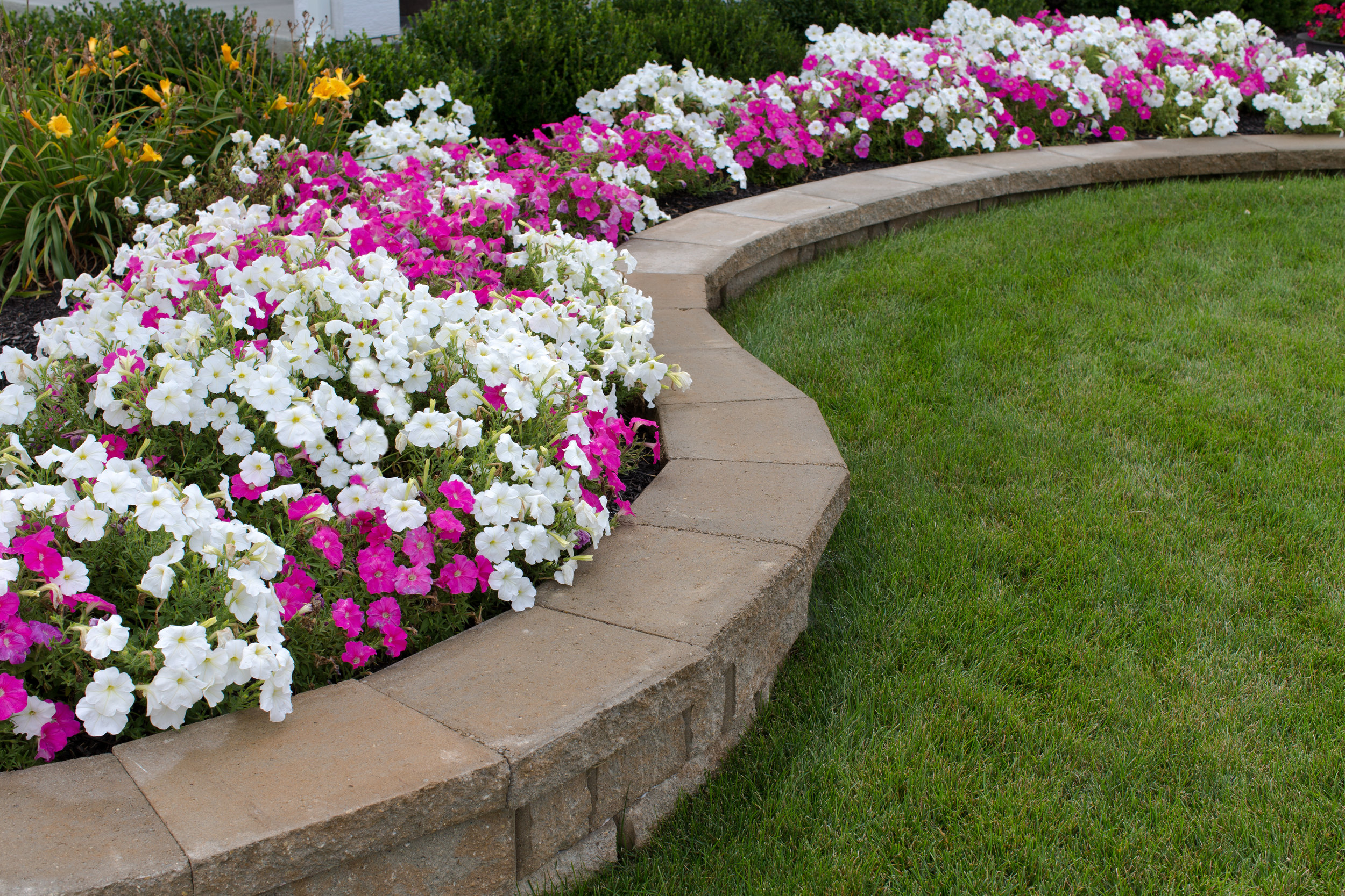 landscape bed maintenance color annual perennial edge