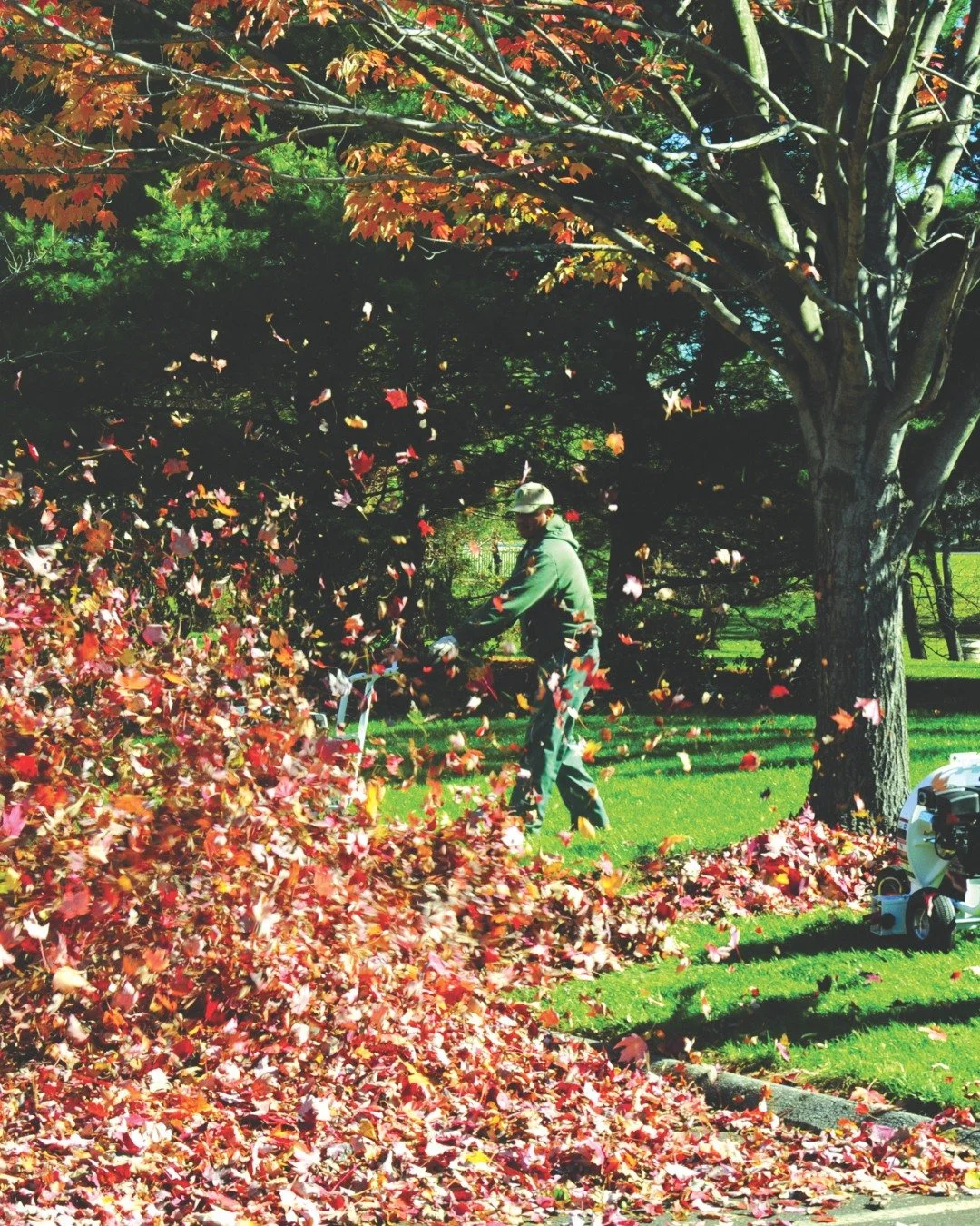 Fall cleanups are here! 

We provide personalized packages to ensure your yard stays tidy and appealing before the snow falls. Whether you need a thorough leaf removal or a simple bulk tidy-up, we can customize our services to match your requirements