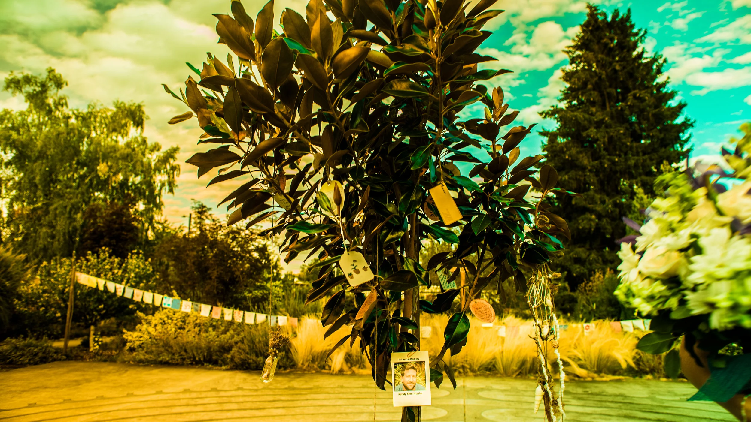DSC01708.jpg