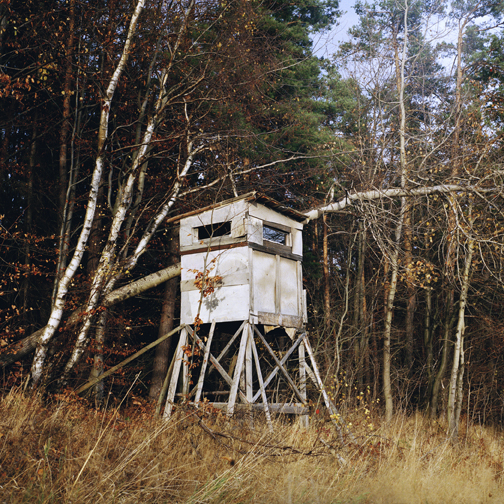 Works on Film by artist and photography Airyka Rockefeller