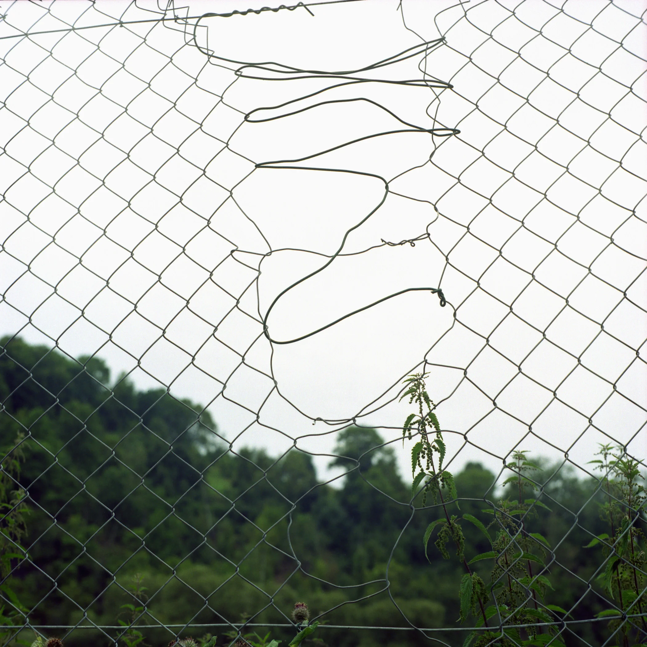 Works on Film by artist and photography Airyka Rockefeller