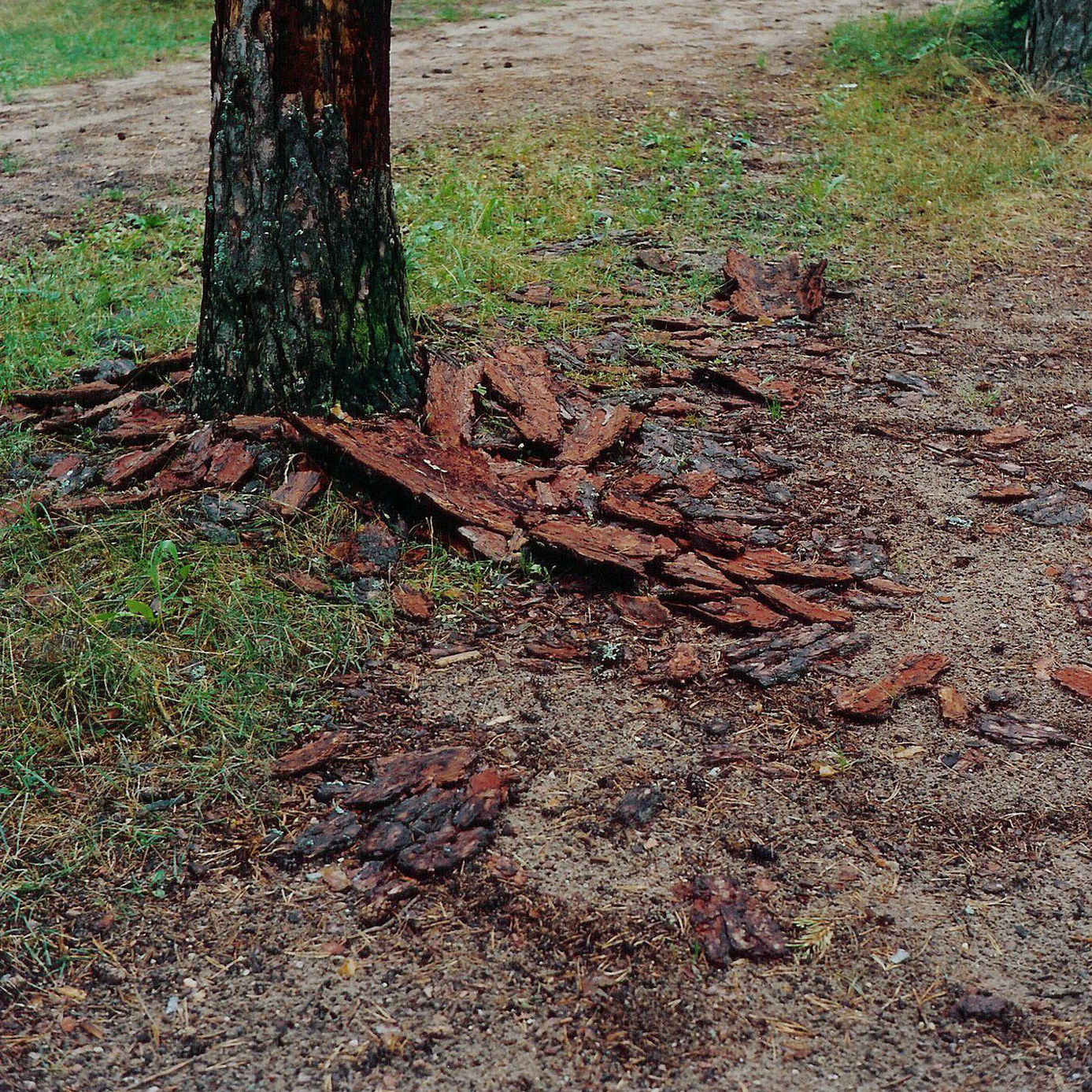 The Borderland Boys: A photographic series by Airyka Rockefeller, Lithuania