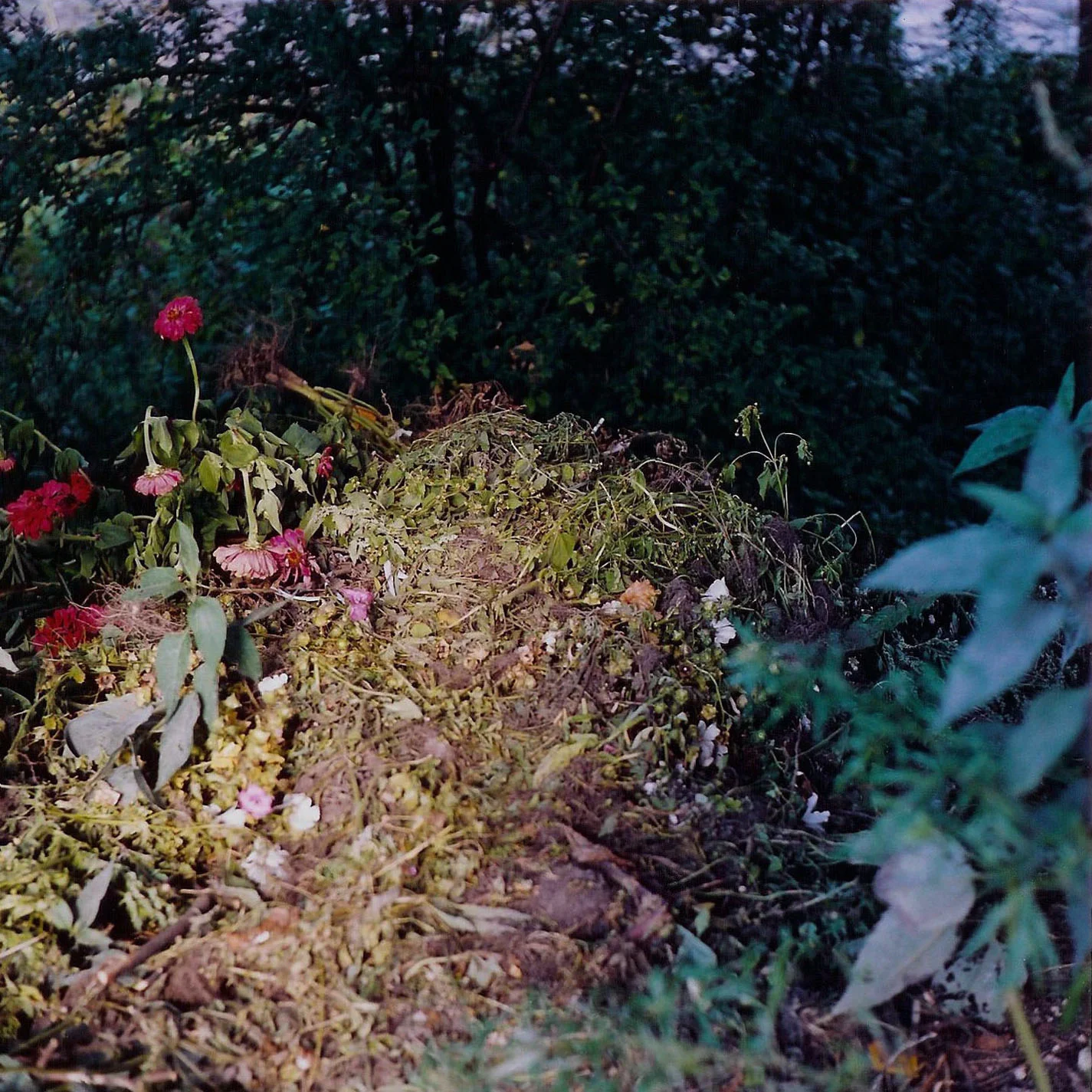 The Borderland Boys: A photographic series by Airyka Rockefeller, Lithuania