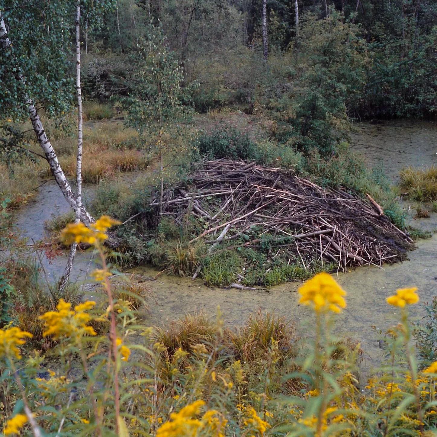 The Borderland Boys: A photographic series by Airyka Rockefeller, Lithuania
