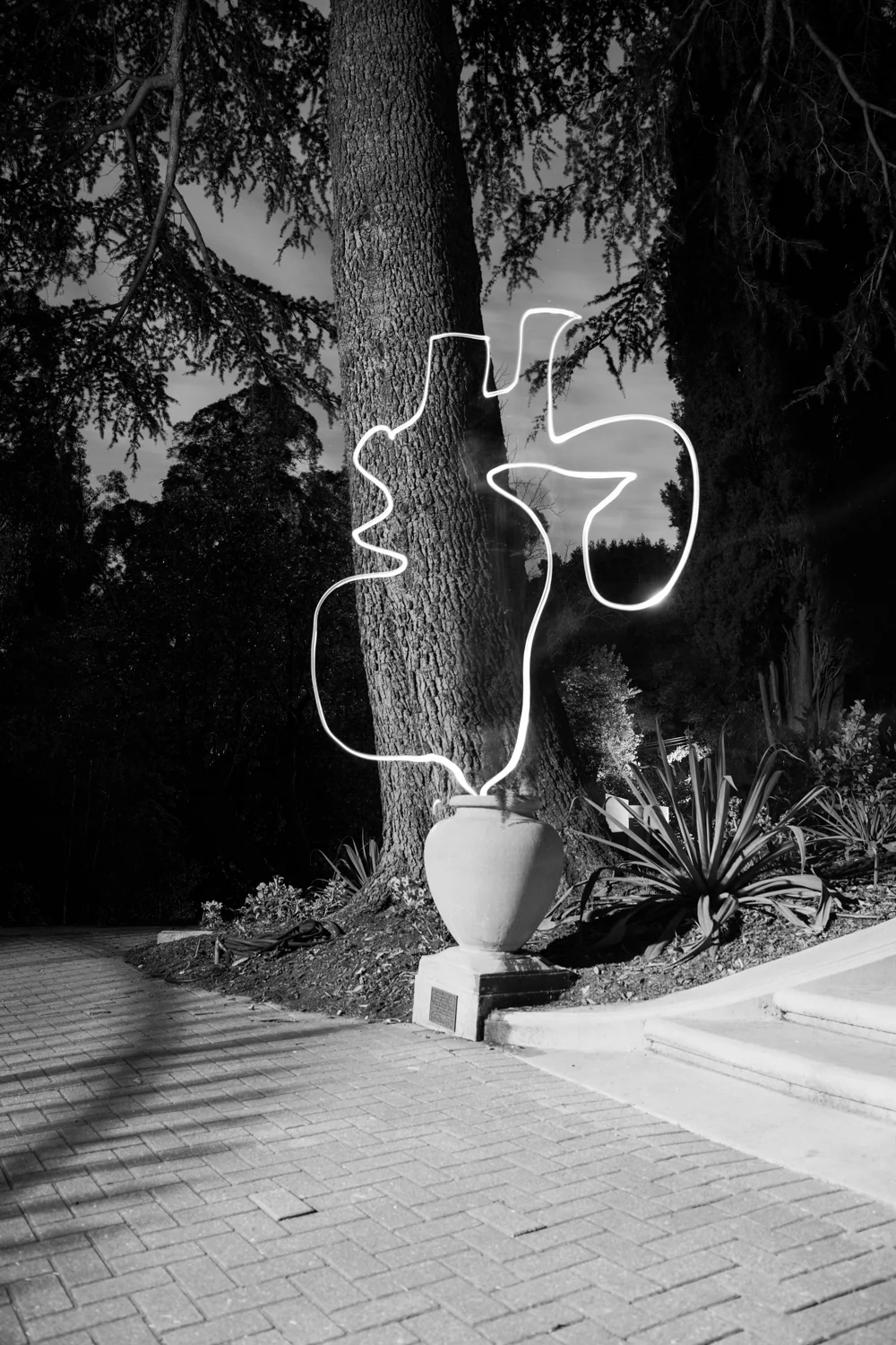 Objects Of Virtu: long and double exposures, art work by Airyka Rockefeller