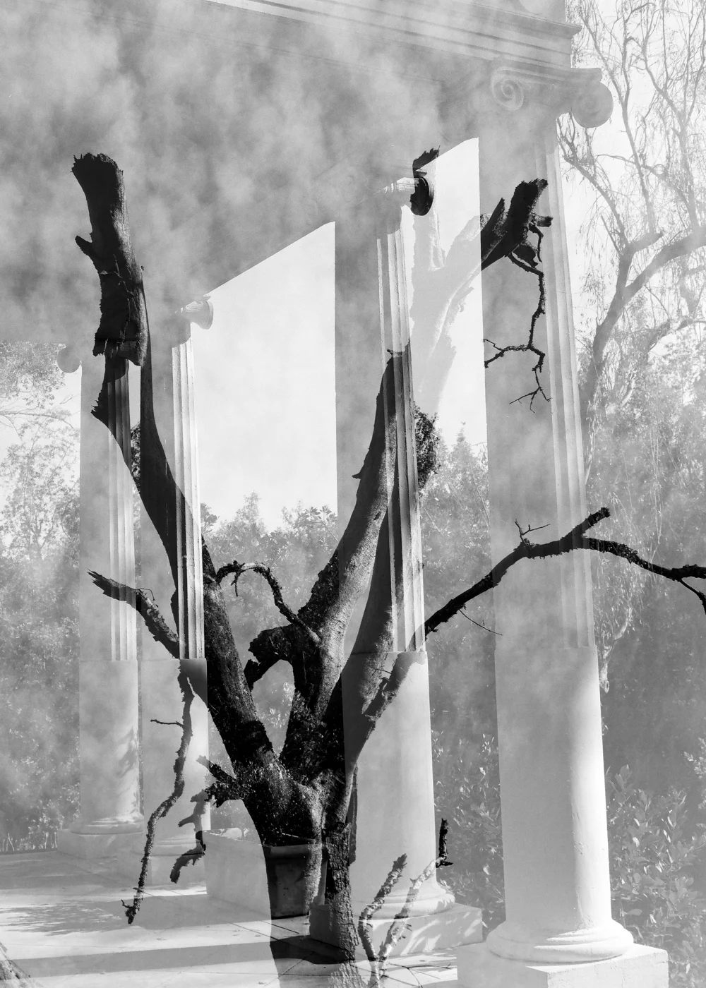 Objects Of Virtu: long and double exposures, art work by Airyka Rockefeller