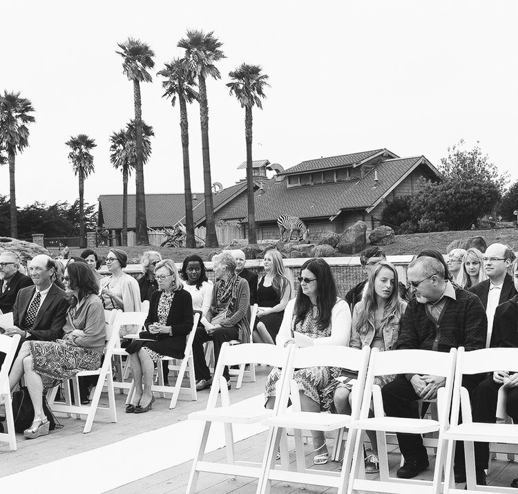 Weddings on Film 2012-2020-11.jpg