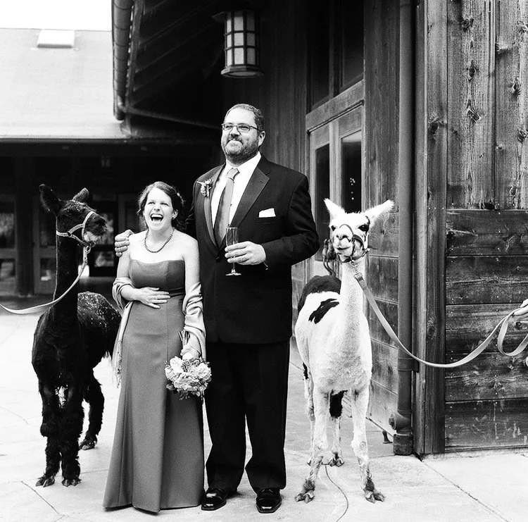 Weddings on Film 2012-2020-12.jpg