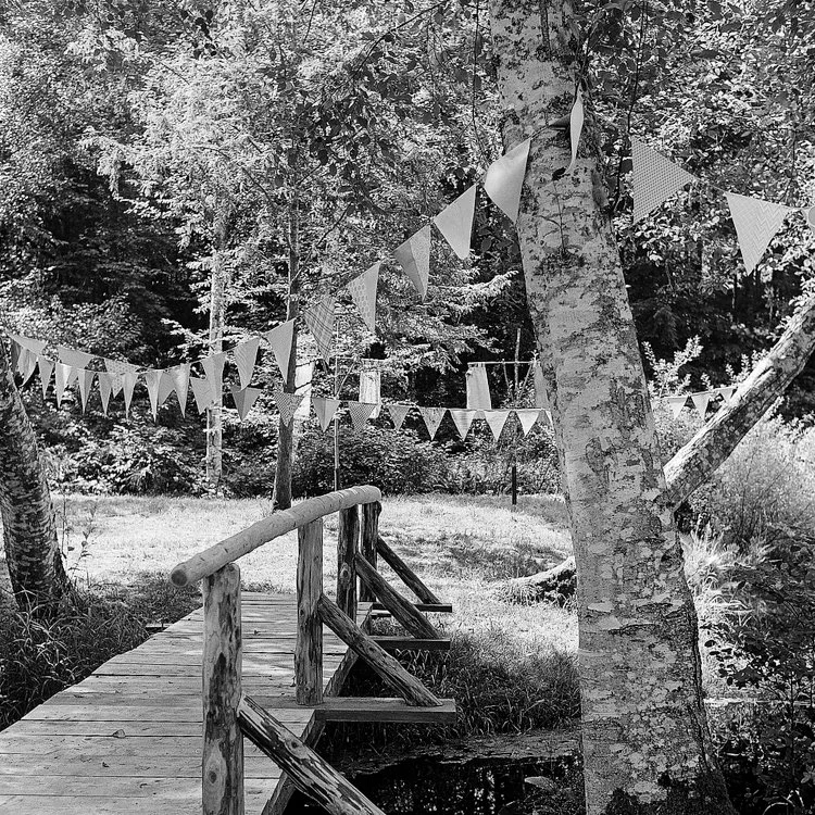 Weddings on Film 2012-2020-138.jpg