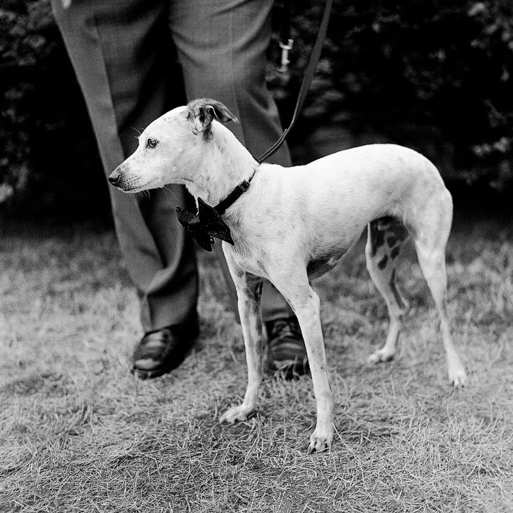 Weddings on Film 2012-2020-161.jpg