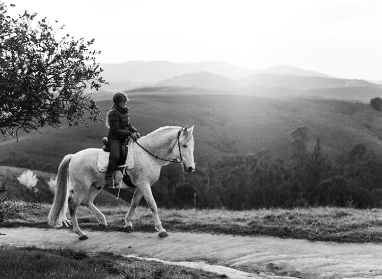 Weddings on Film 2012-2020-228.jpg