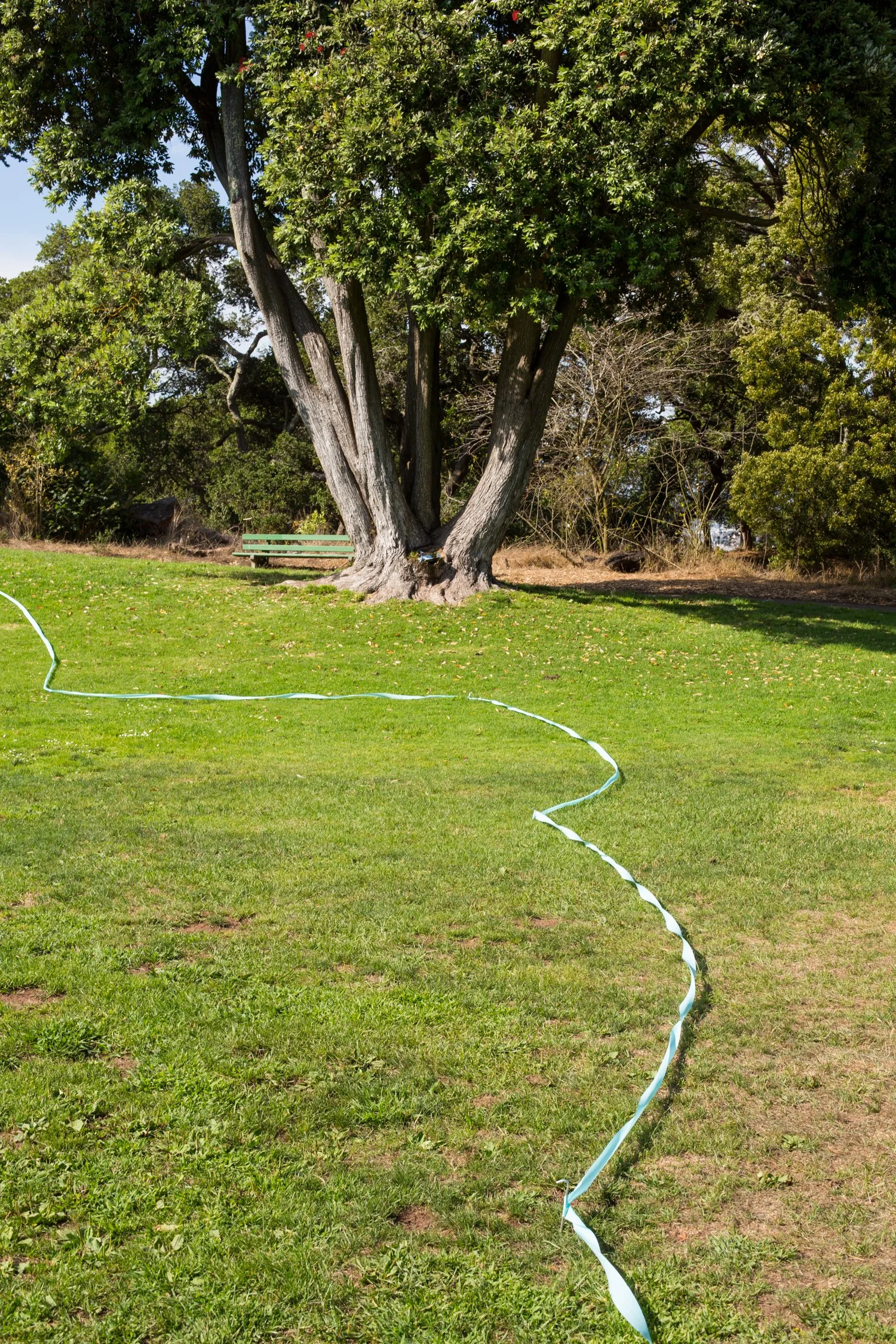 Wedding photography 2021 by Airyka Rockefeller-2.jpg