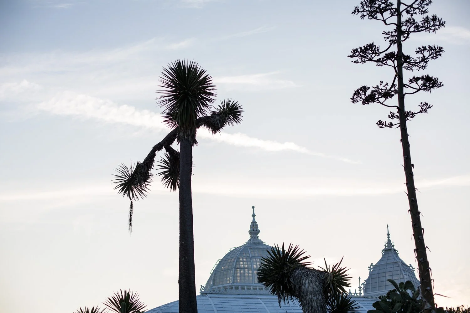 Wedding photography 2021 by Airyka Rockefeller-15.jpg