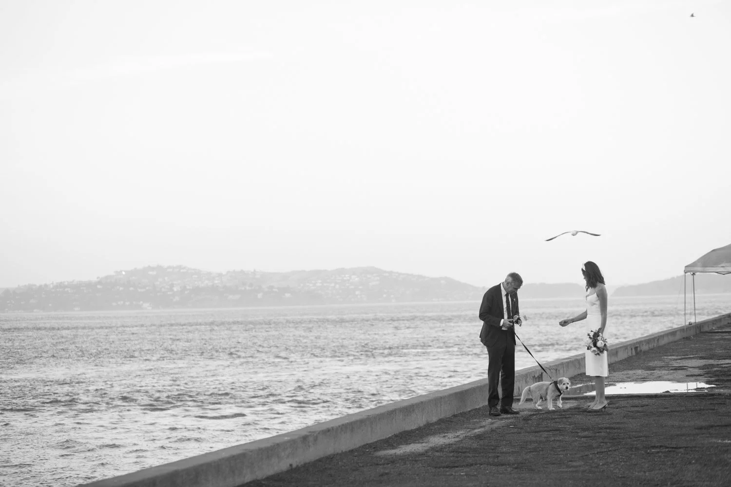 Wedding photography 2021 by Airyka Rockefeller-60.jpg