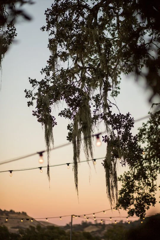 paso robles wedding-12.jpg