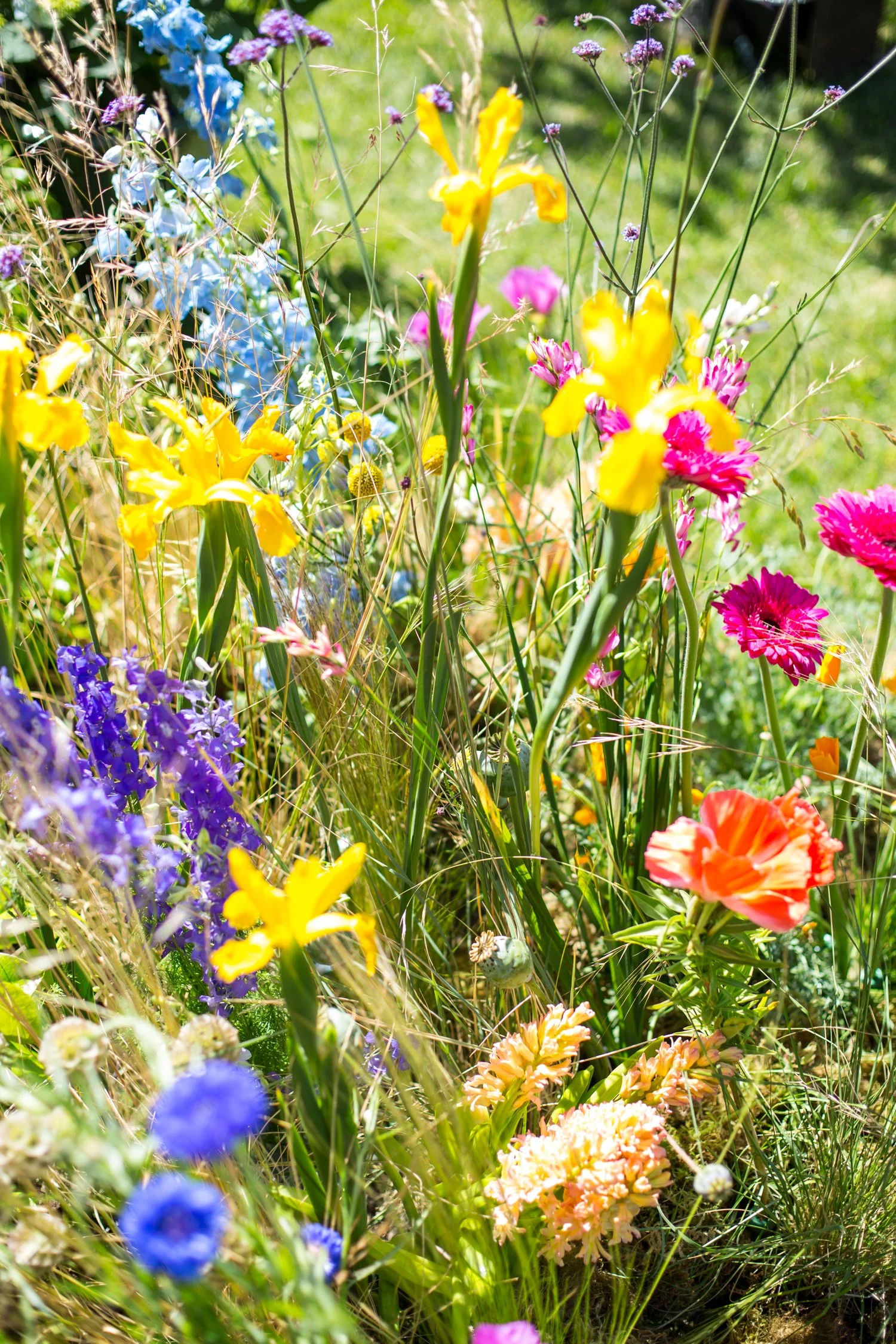 Wedding photography 2021 by Airyka Rockefeller-34.jpg