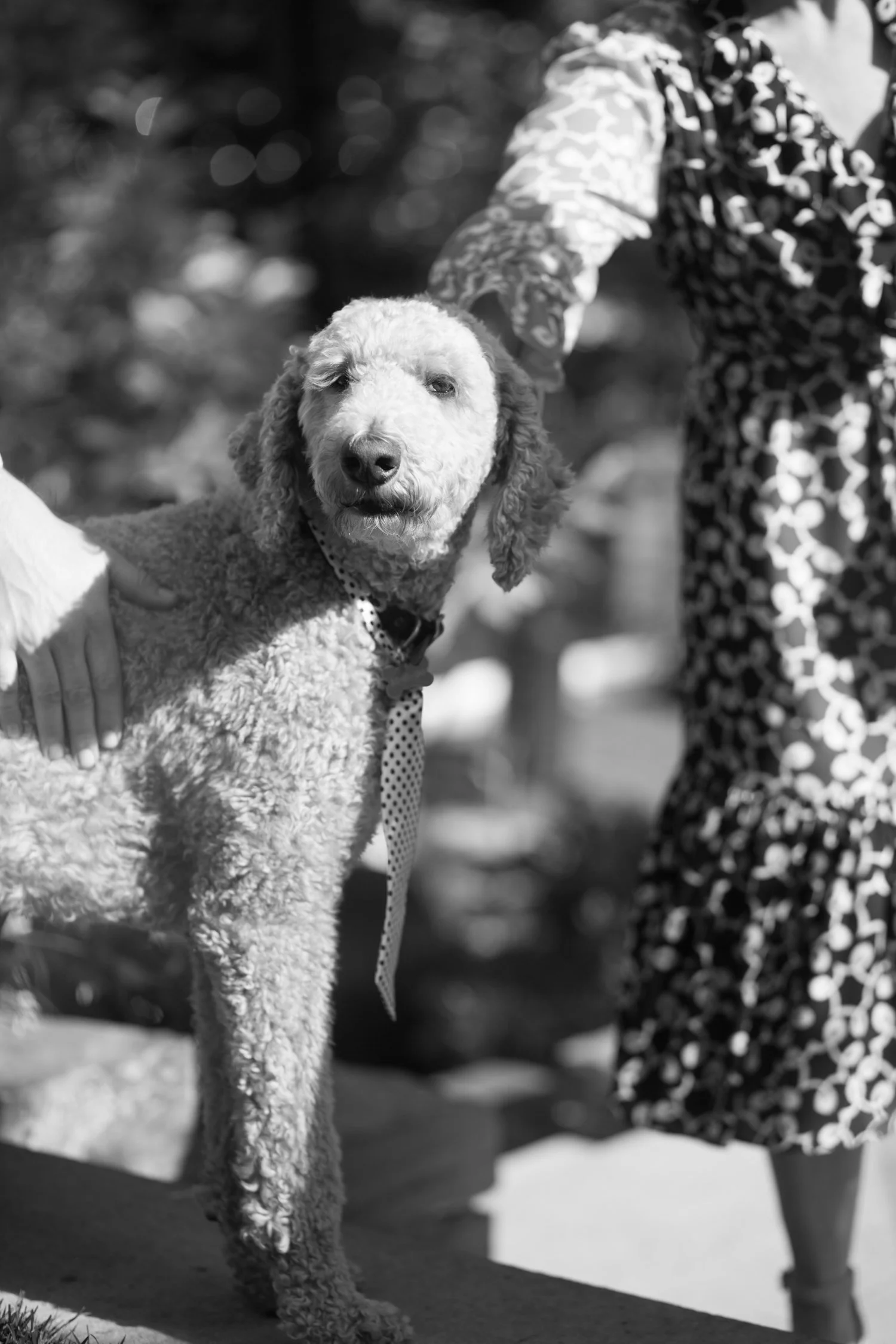 Wedding photography 2021 by Airyka Rockefeller-46.jpg