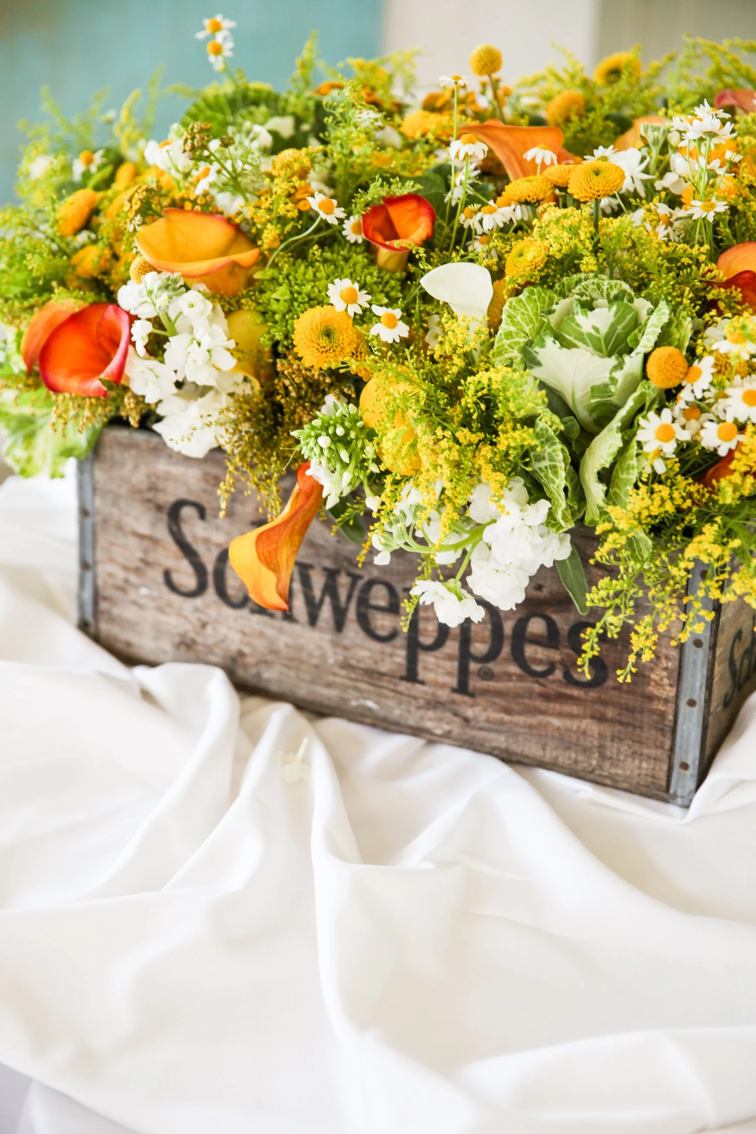 Paso Robles Wedding Photo by Airyka Rockefeller-22.jpg
