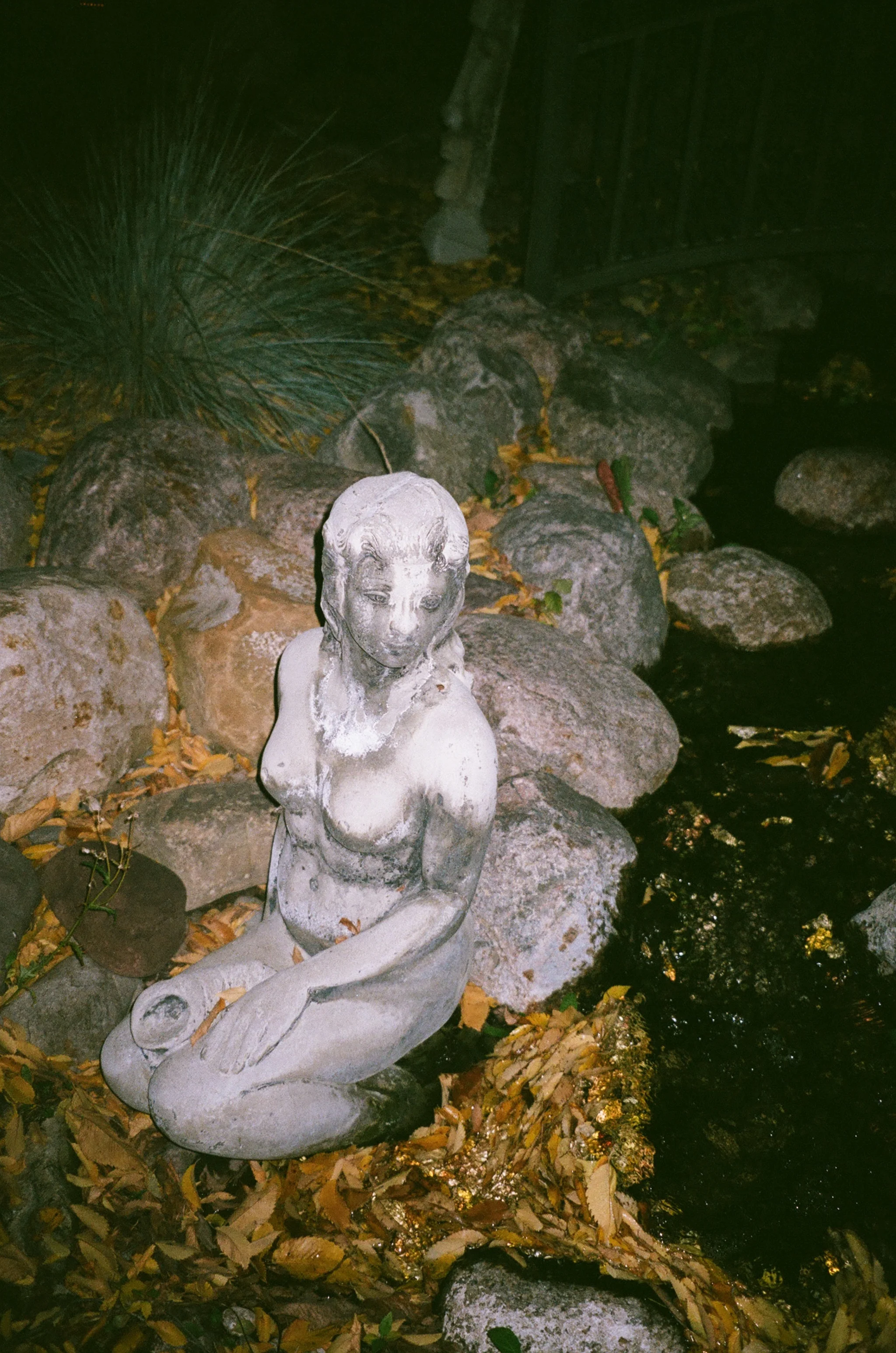 00390019.jpg