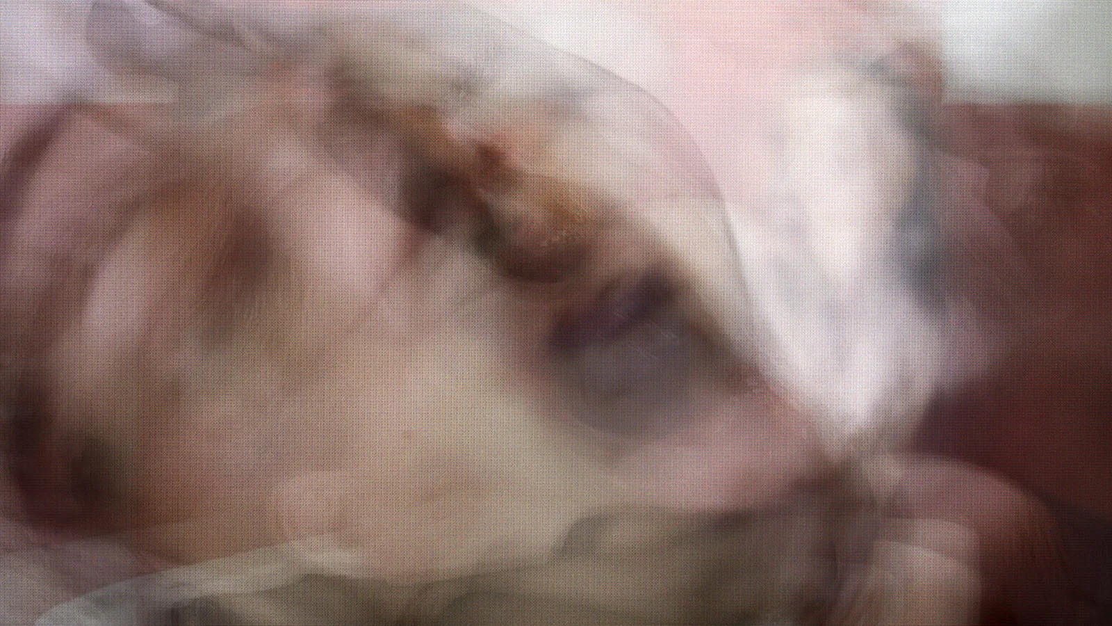 Flesh 07 (2015)