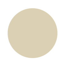 Paper Color Circles ochre.jpg