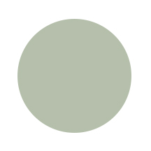 Paper Color Circles sage.jpg