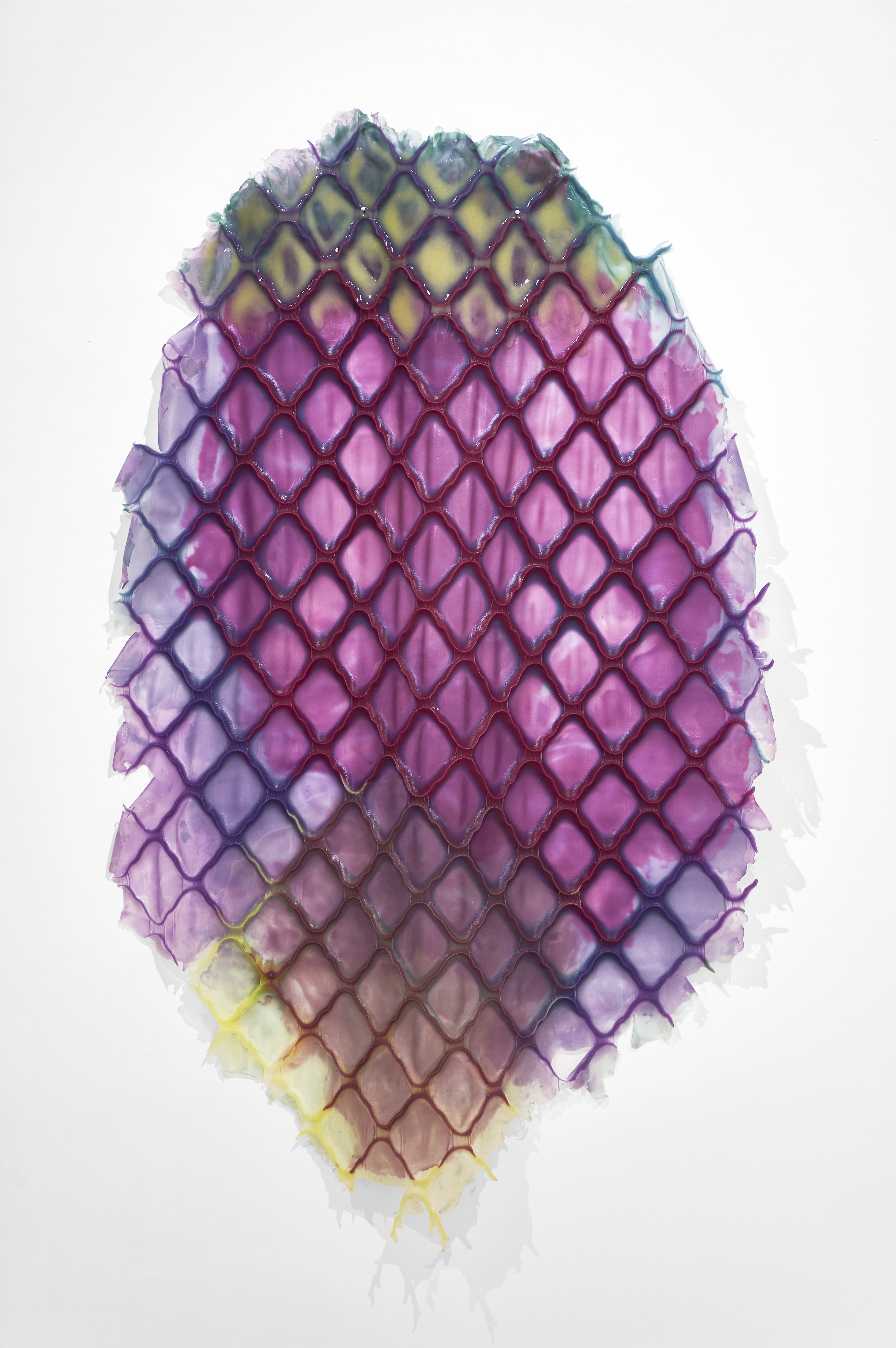 Lash (Fragile Terms Loom Within) .jpg