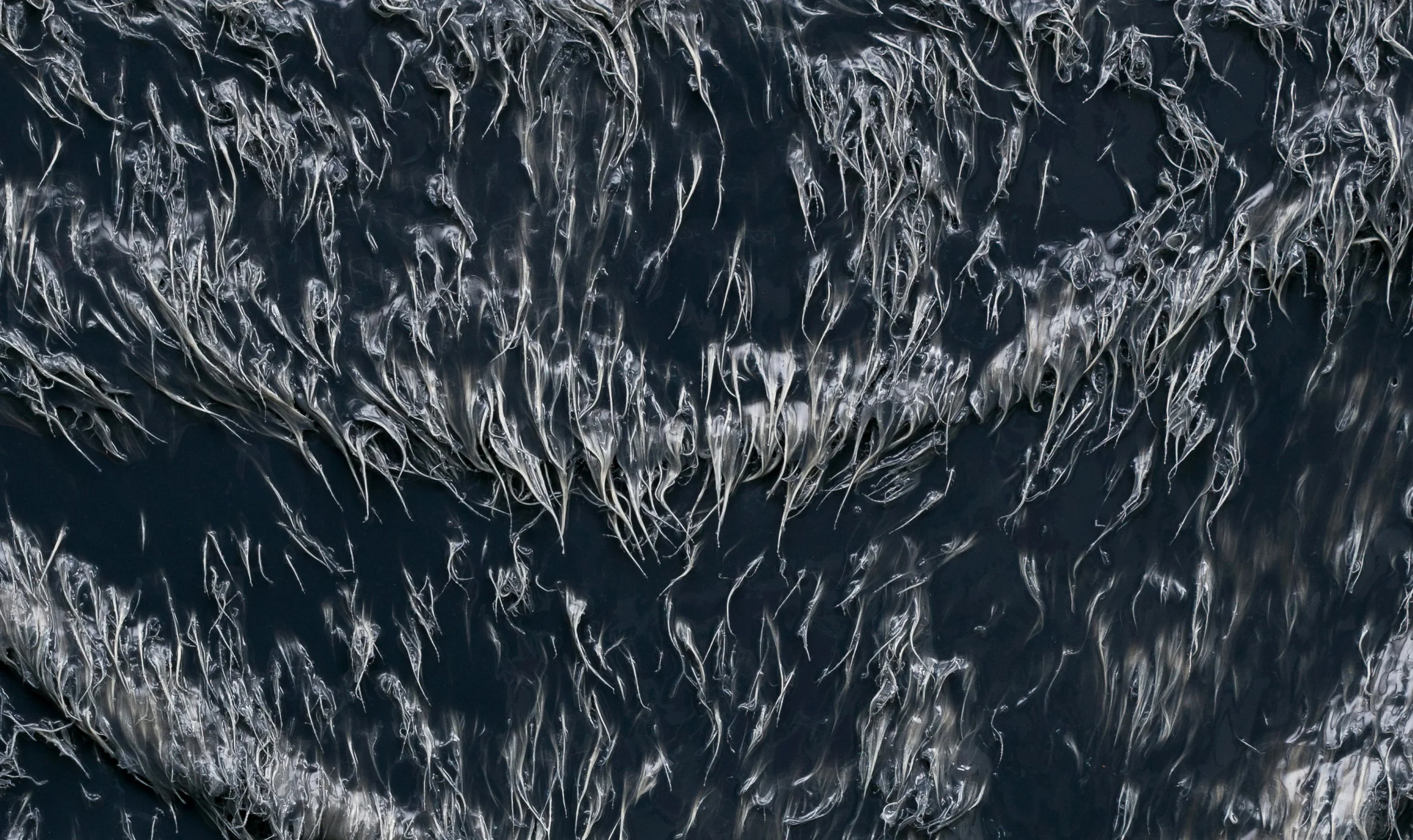 black fur detail.jpg