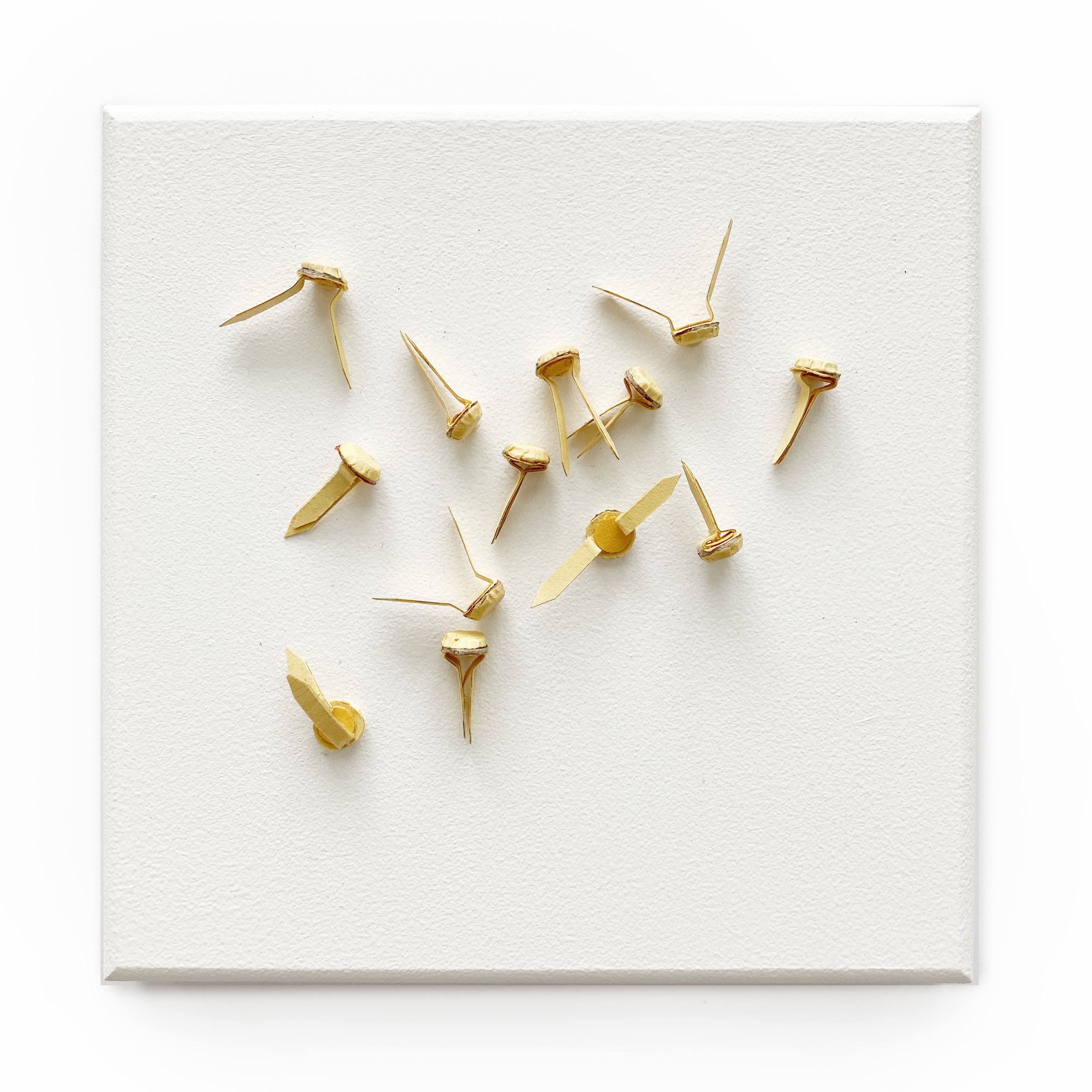Brads – paper sculpture artwork — Julie VonDerVellen