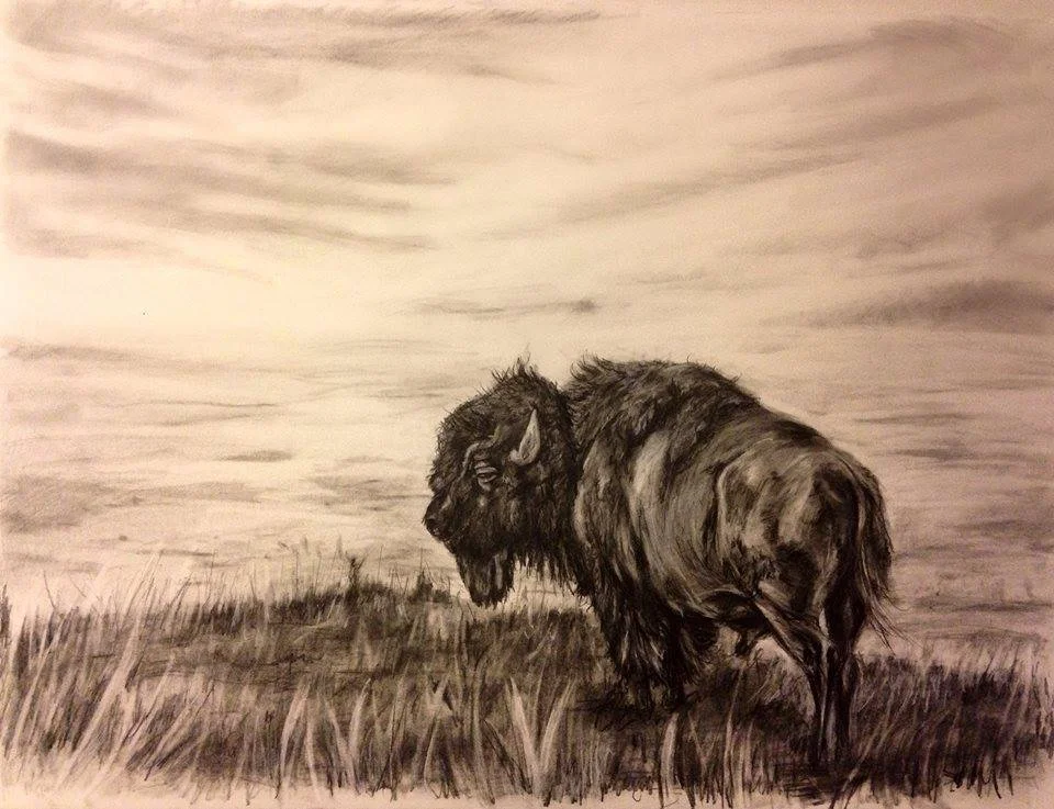 Lone Buffalo