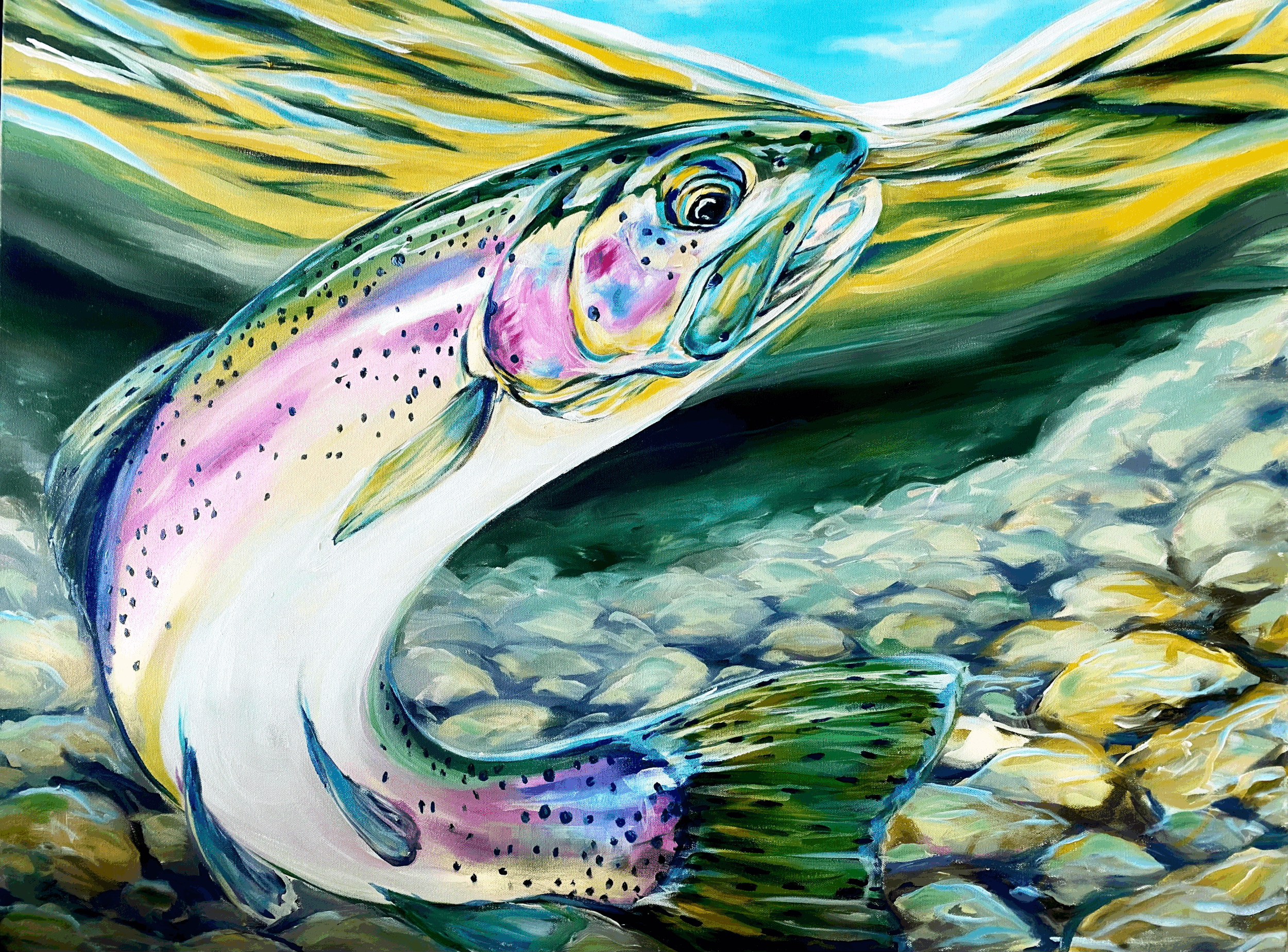 "Yuba Rainbow"