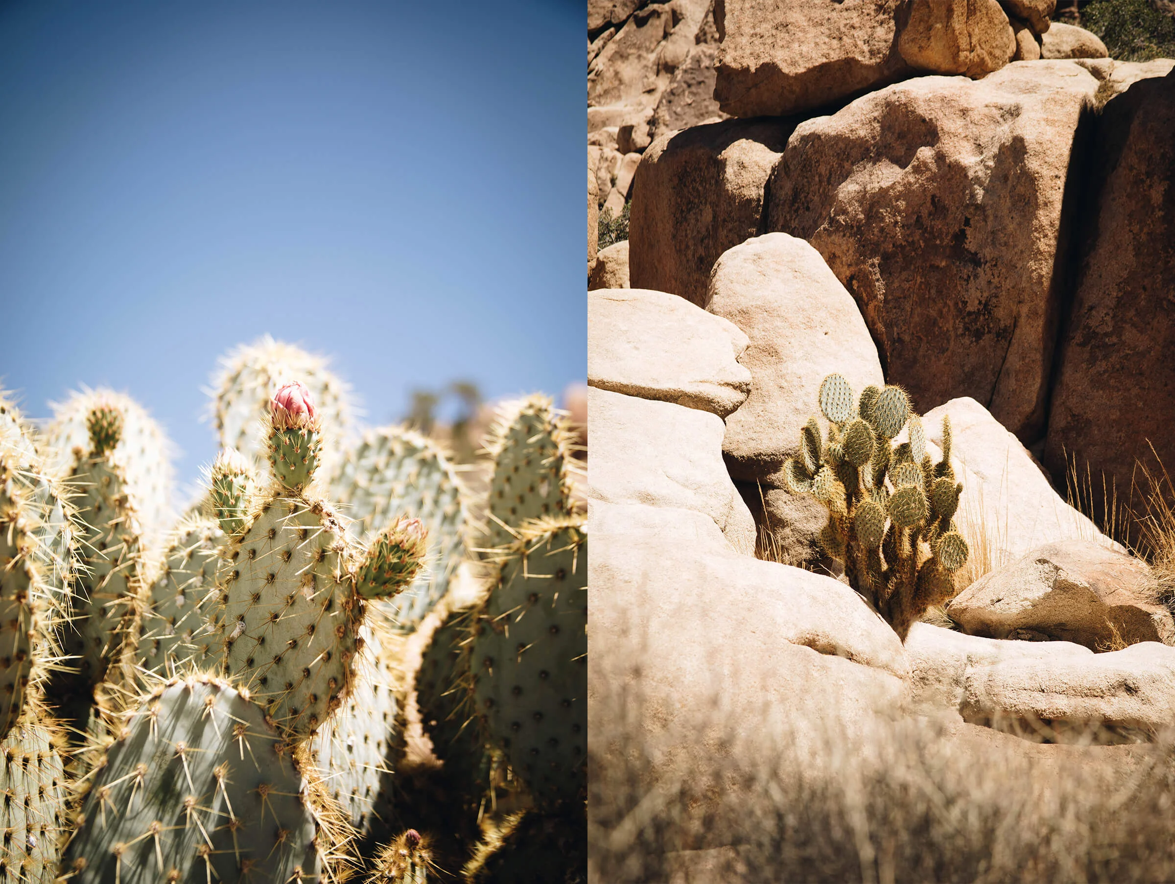 diptych-1.jpg