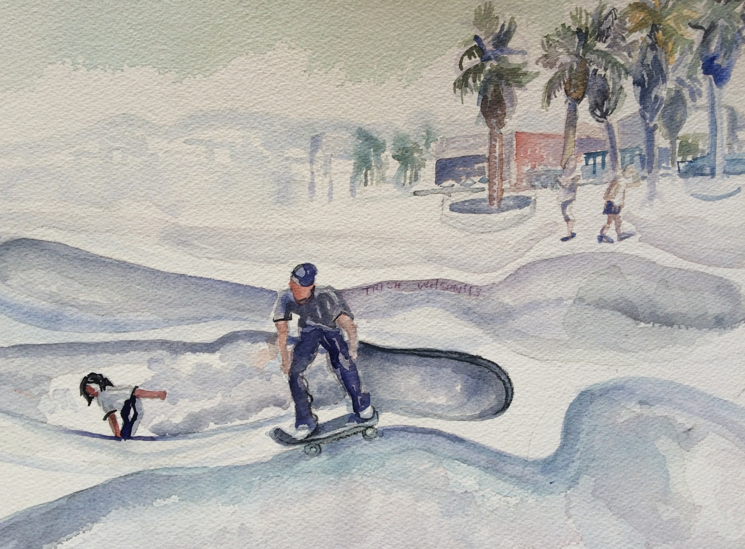Skate Boarder with Palms