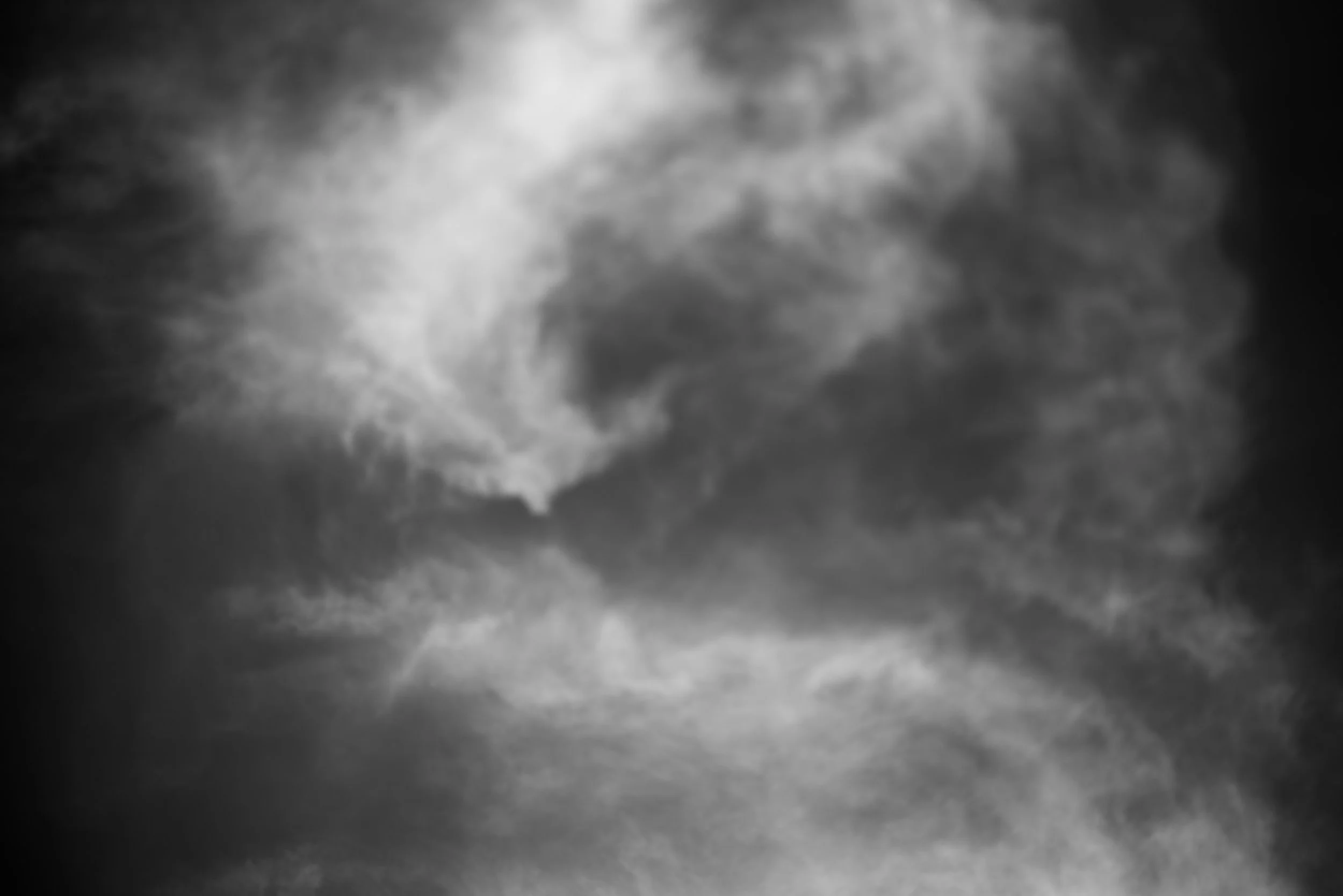 DSC_5433.jpg