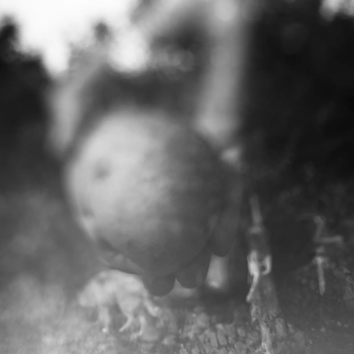 Lazuka_M_Portfolio_4.jpg