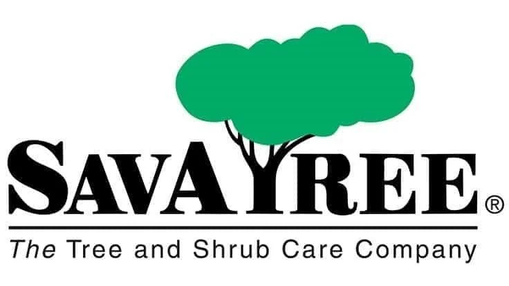 Savatree.jpeg