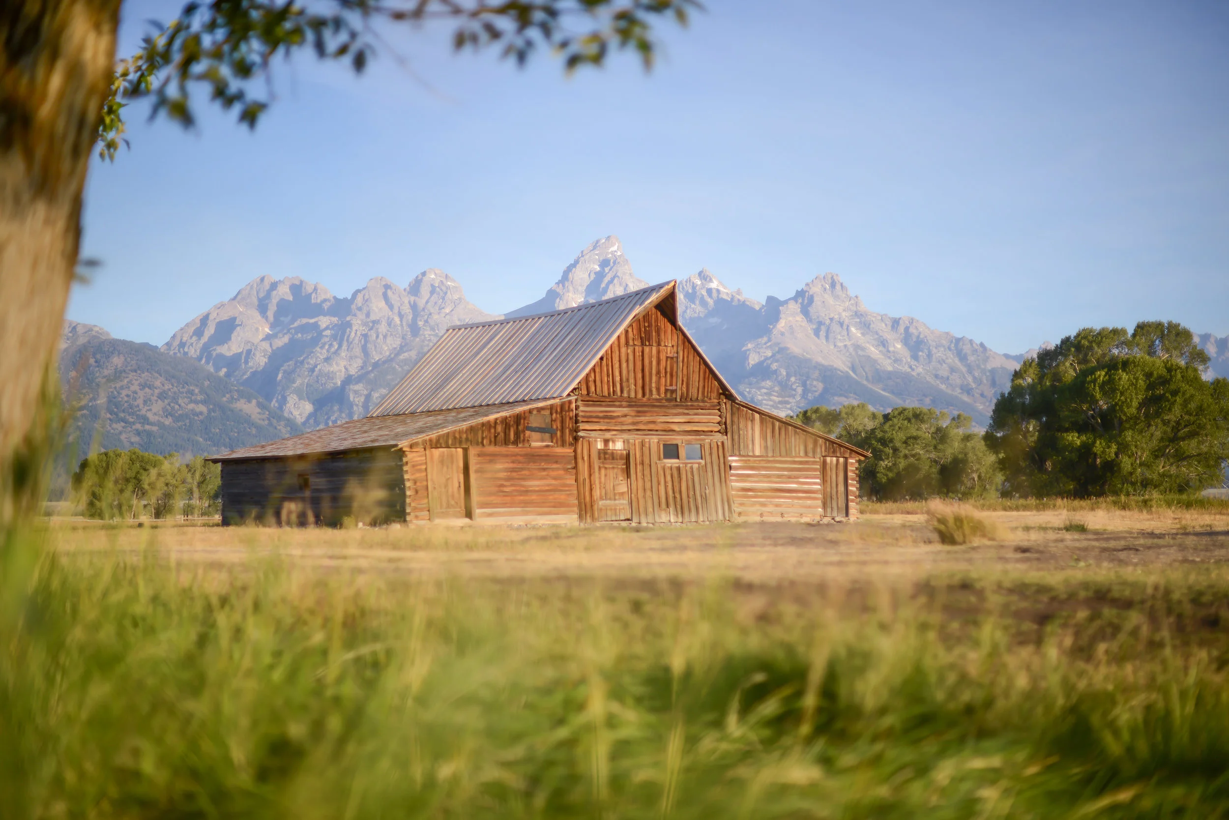 Wyoming is for Lovers