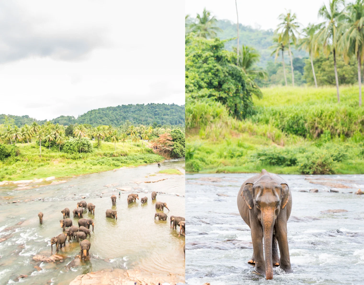 Sri Lanka_2.jpg