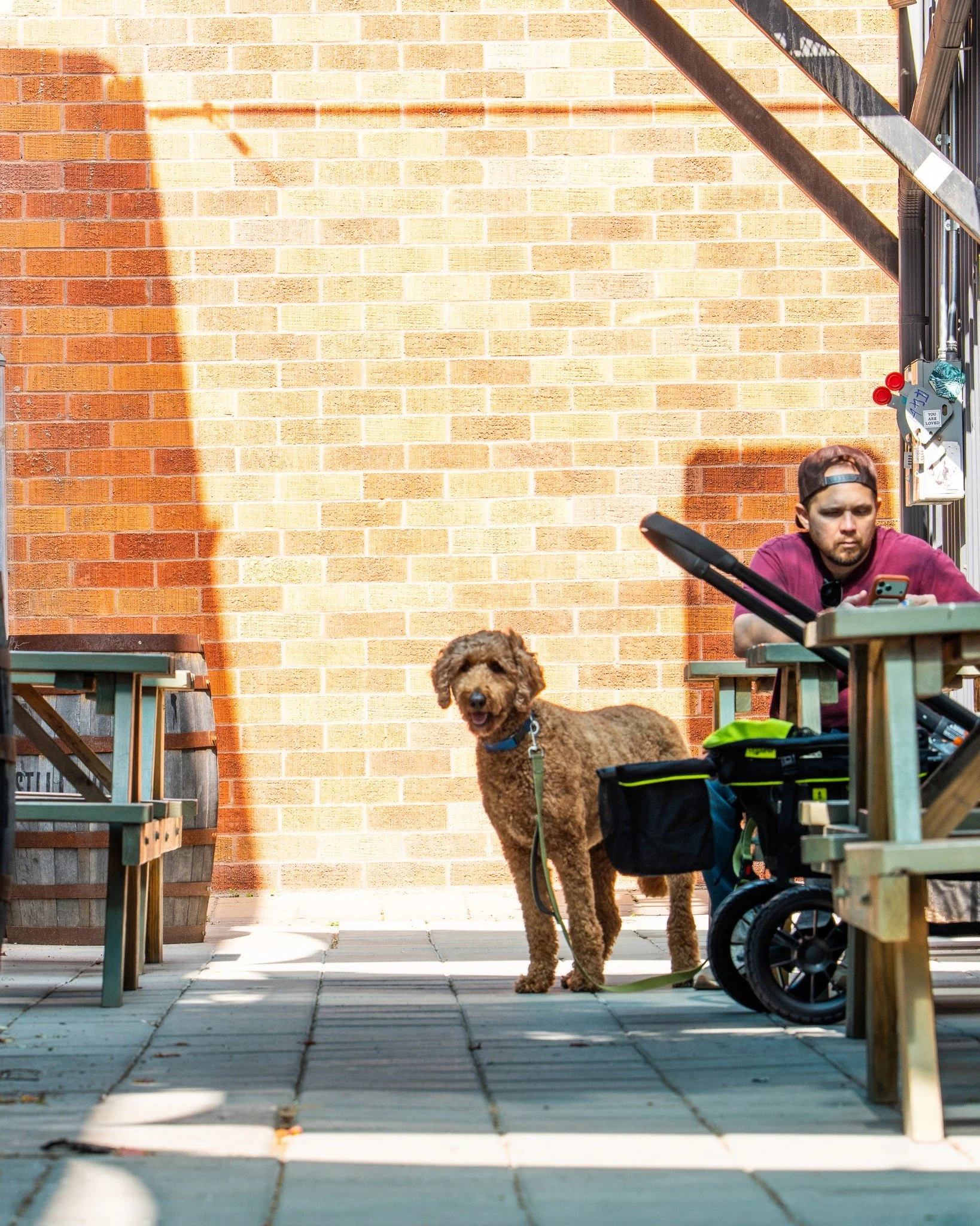 Happy National Dog Day to our four-legged friends! 
The weather's nice, and the patio's ready for you both.

📍South | Highland | Pflugerville
