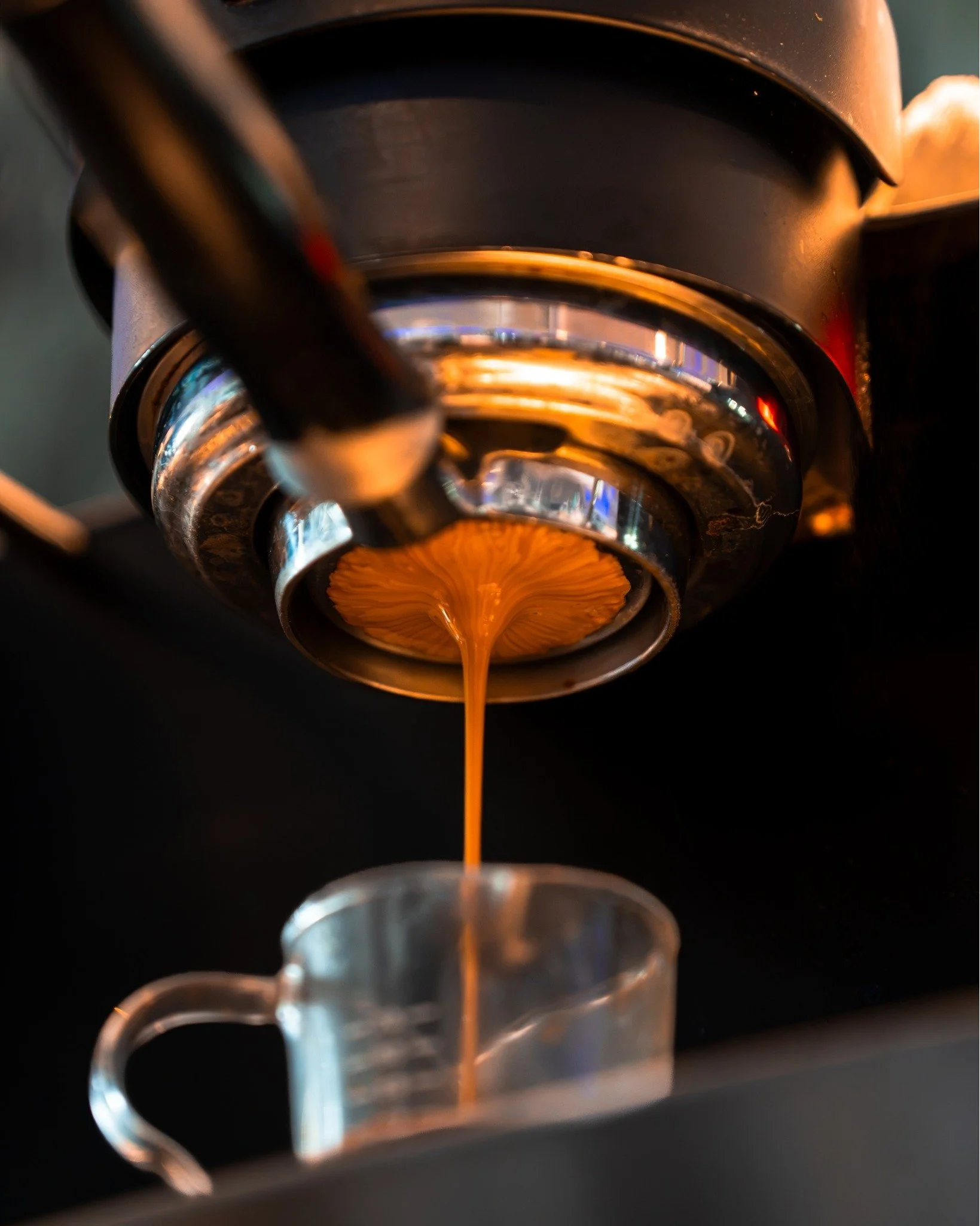 Craft in your cup, every time. That's coffee, done right.