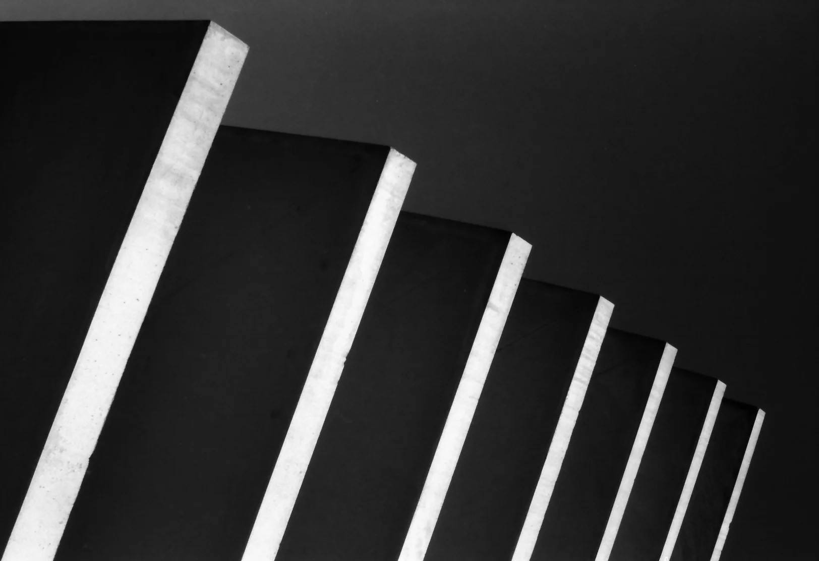 DAX, GELATIN SILVER PRINT, 2010