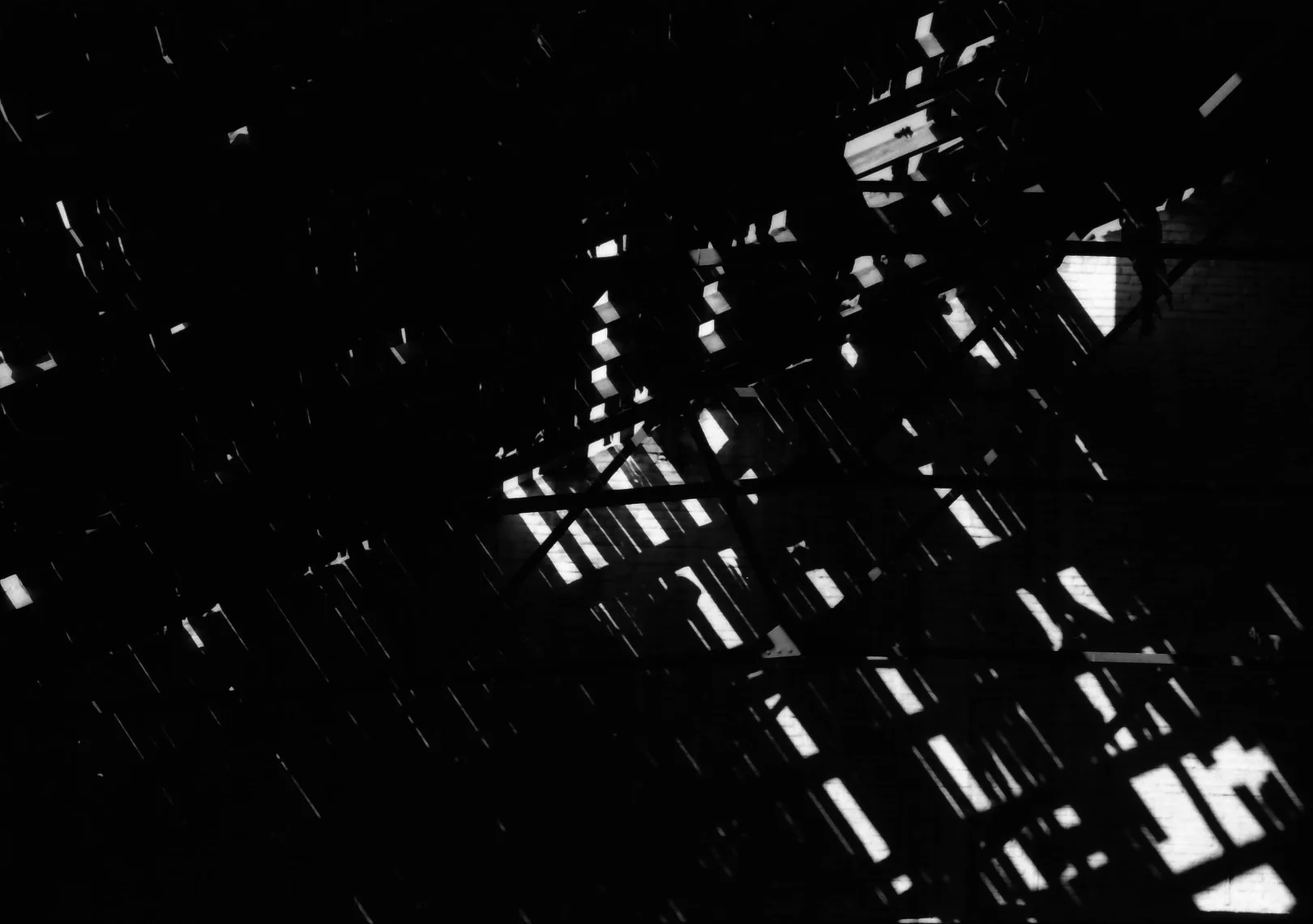 OHNE TITEL, SILVER GELATIN PRINT, 2008