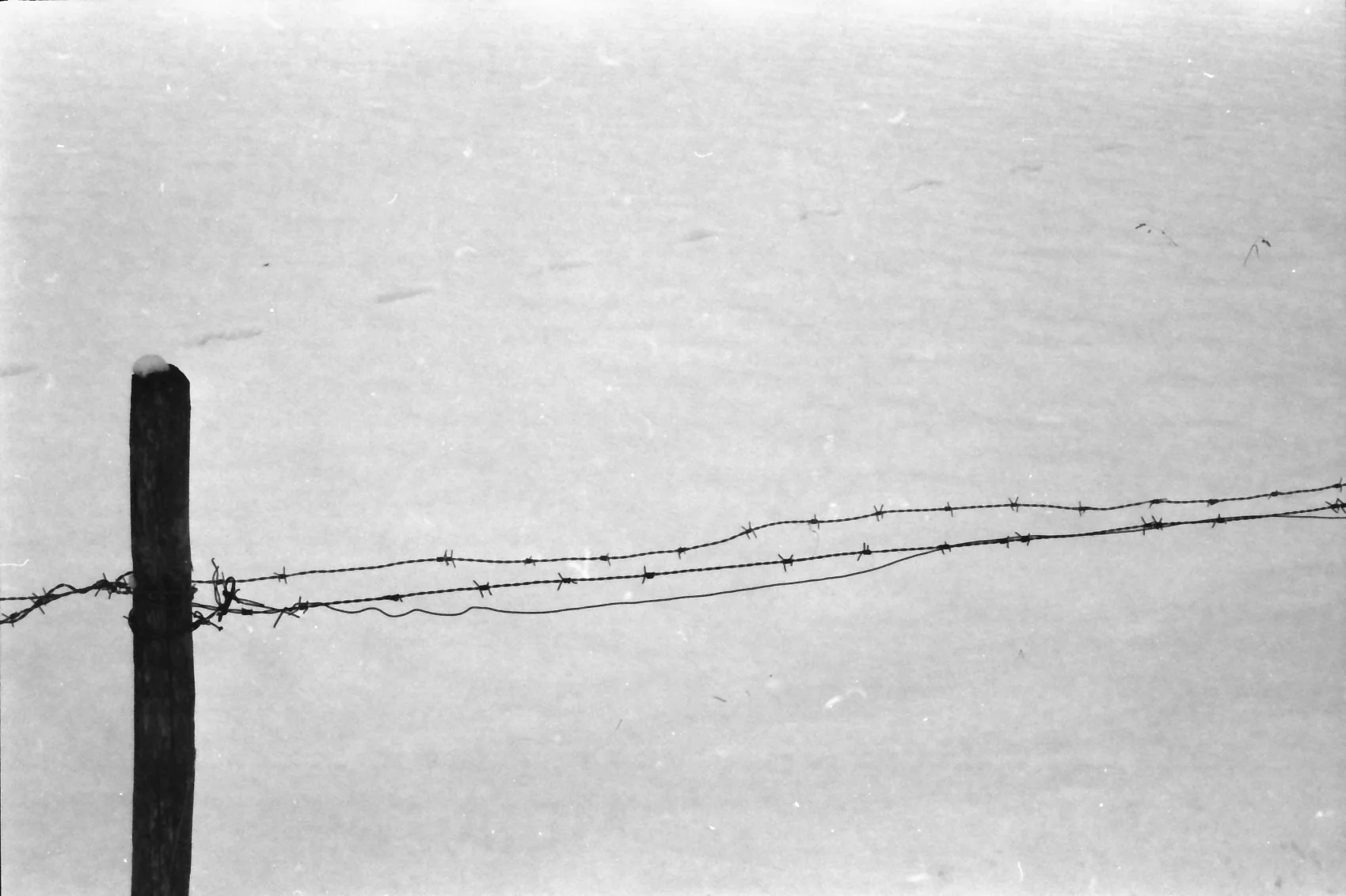 GRENZE, SILVER GELATIN PRINT ON ILFORD PAPER, 2011