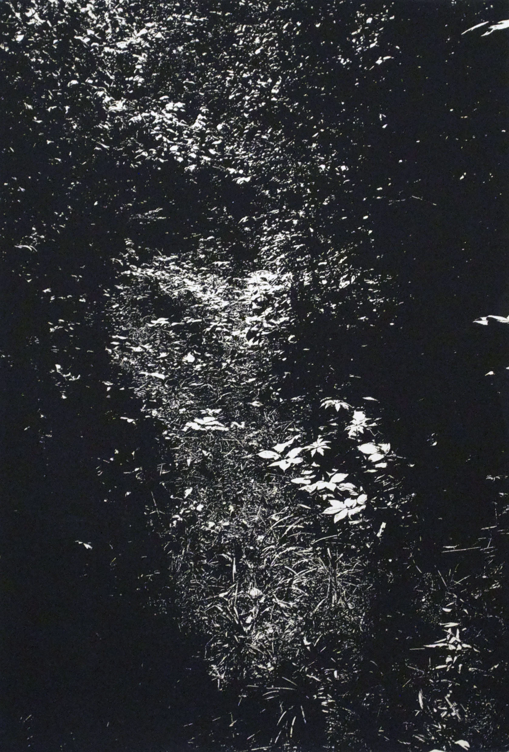 Pop Up Sale at West Elm