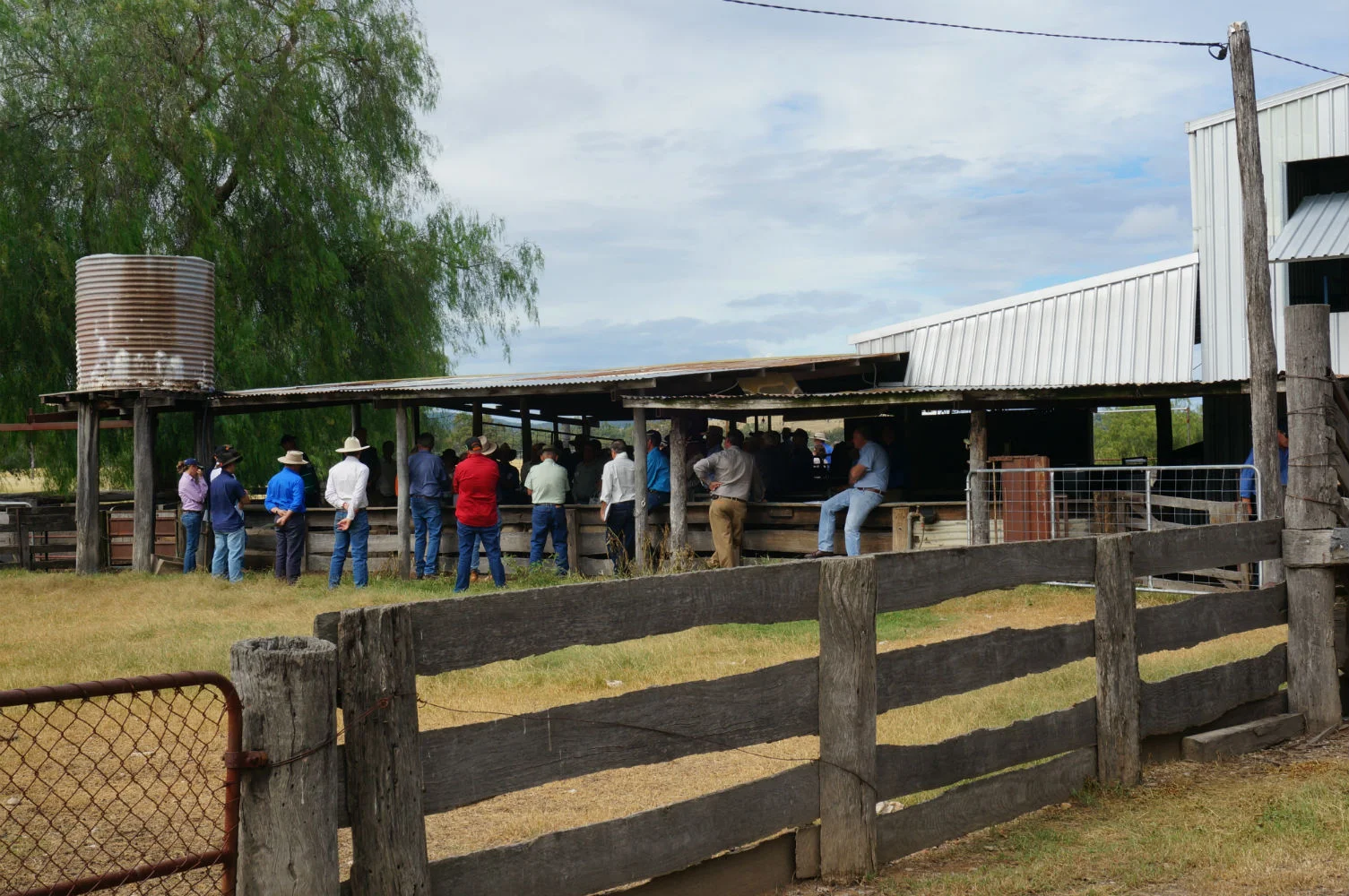 AITW only four weeks away!