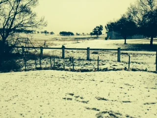 "Inverary" view from front of house