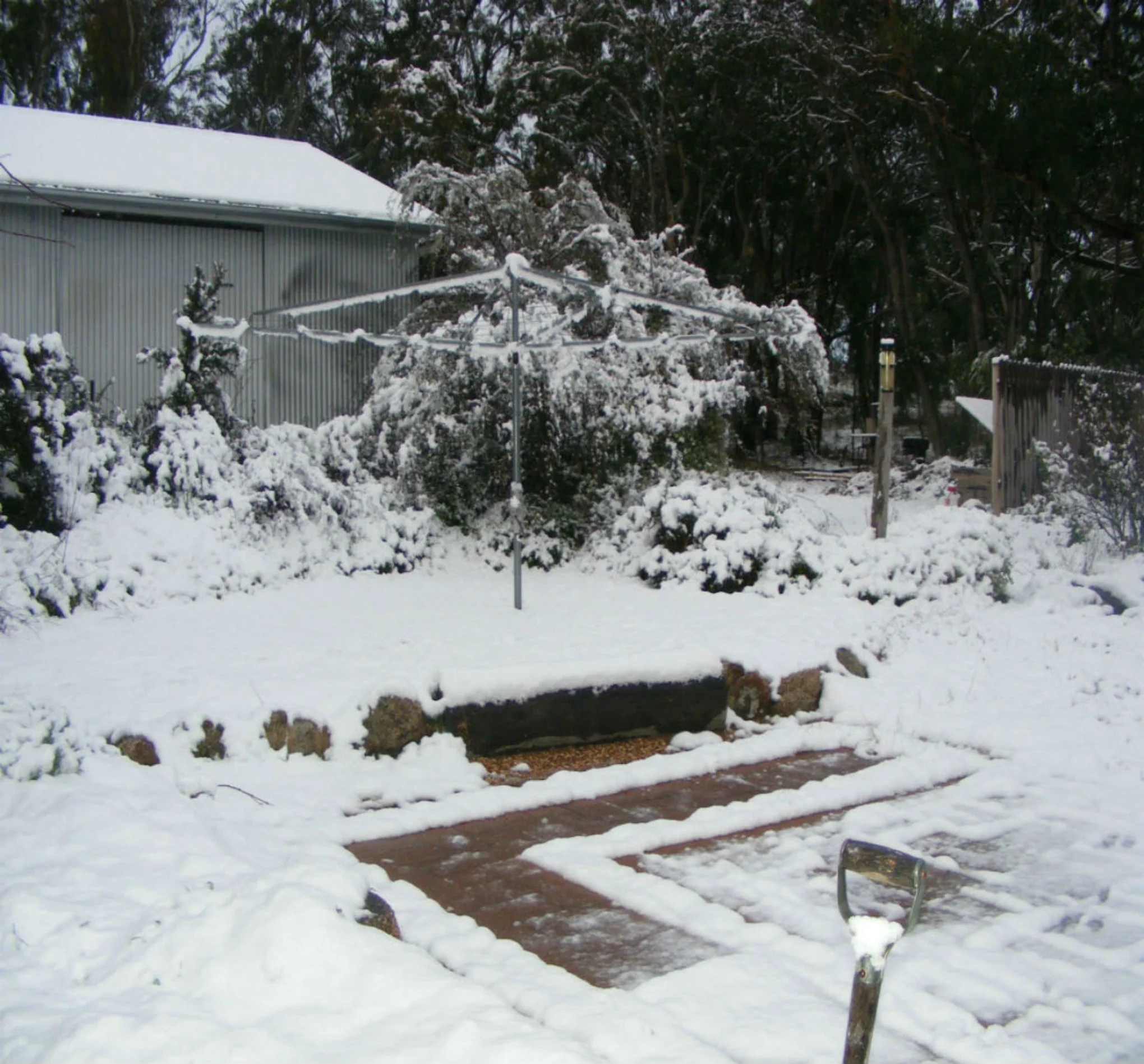 "Mallow" back of house