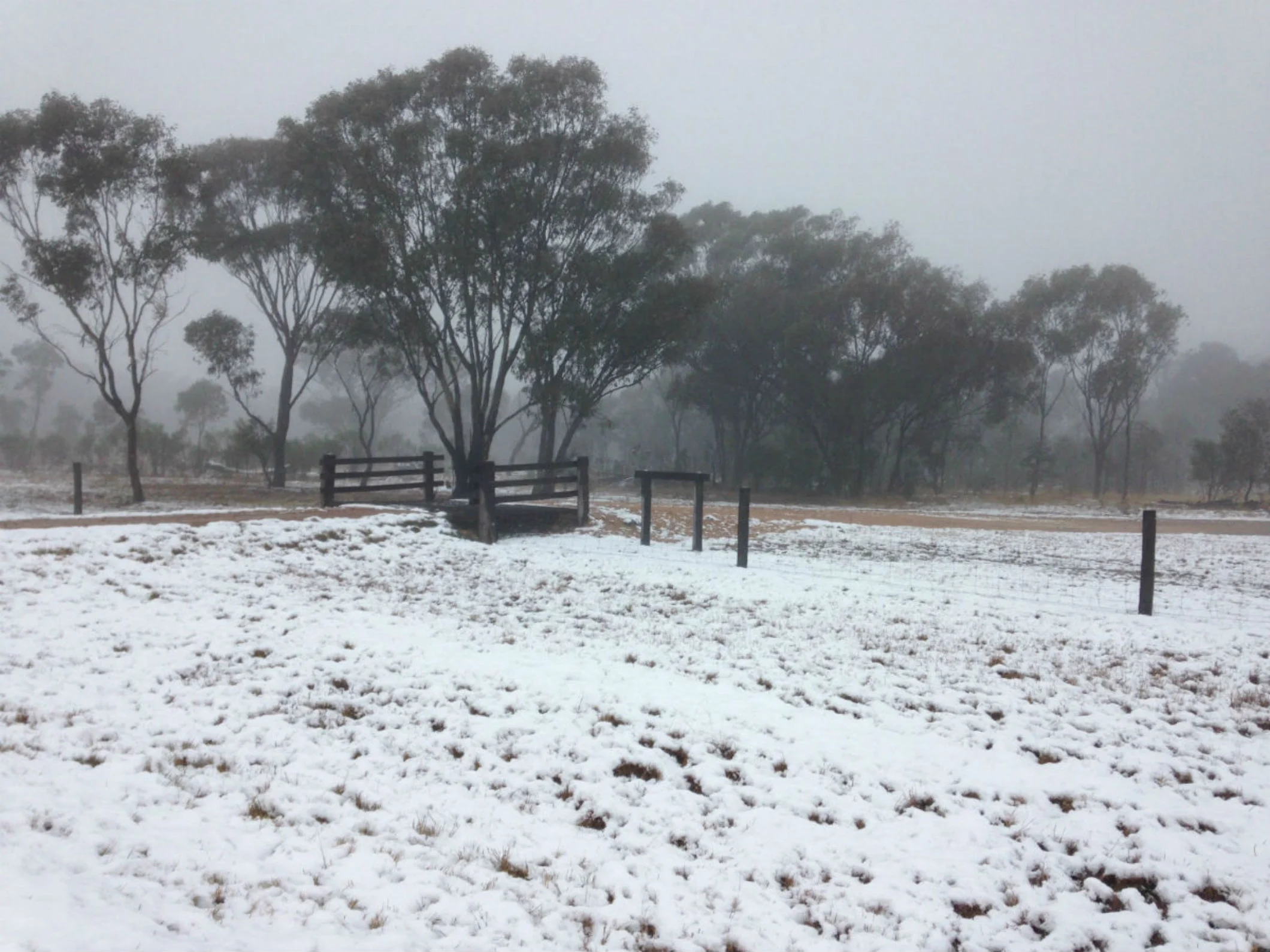 "Rosemary Hill" entrance grid