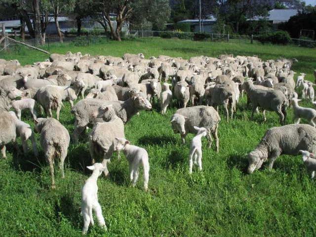 6Y__IMG_ (640x480) (1).jpg