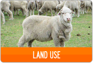 LAND-USE-BUTTON.png